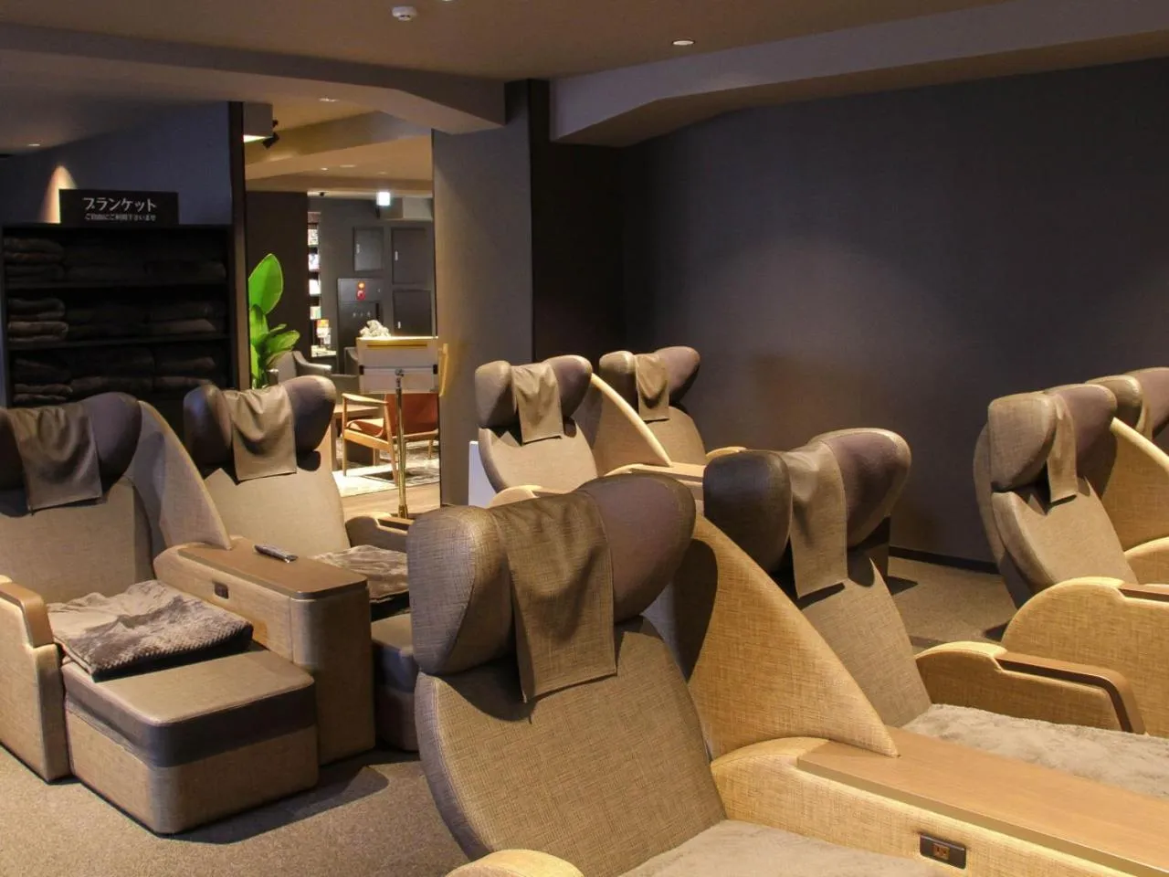 Spa and wellness centre/facilities in Gran Custama Ueno