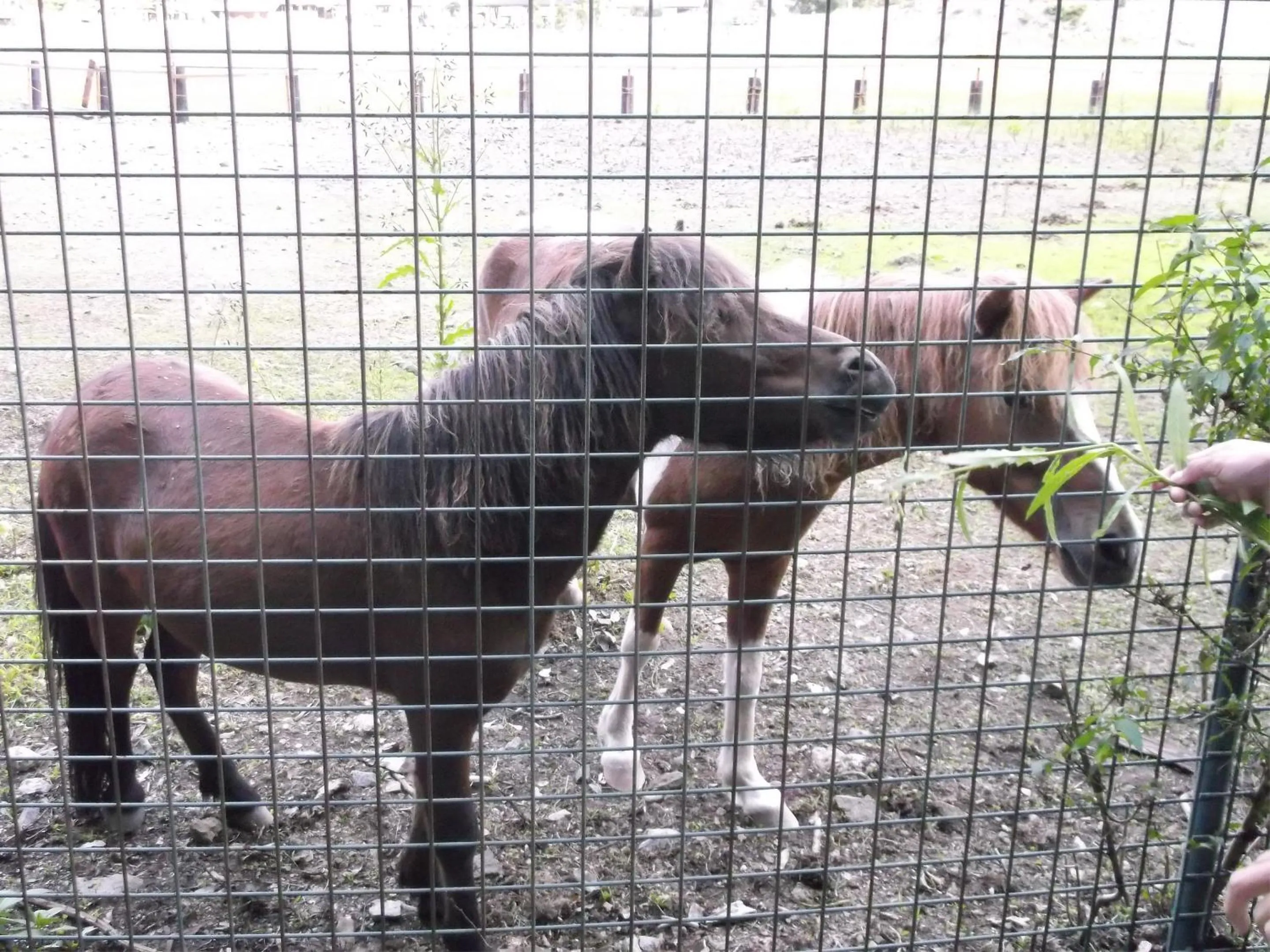 Nearby landmark in Hotel Nosegawa