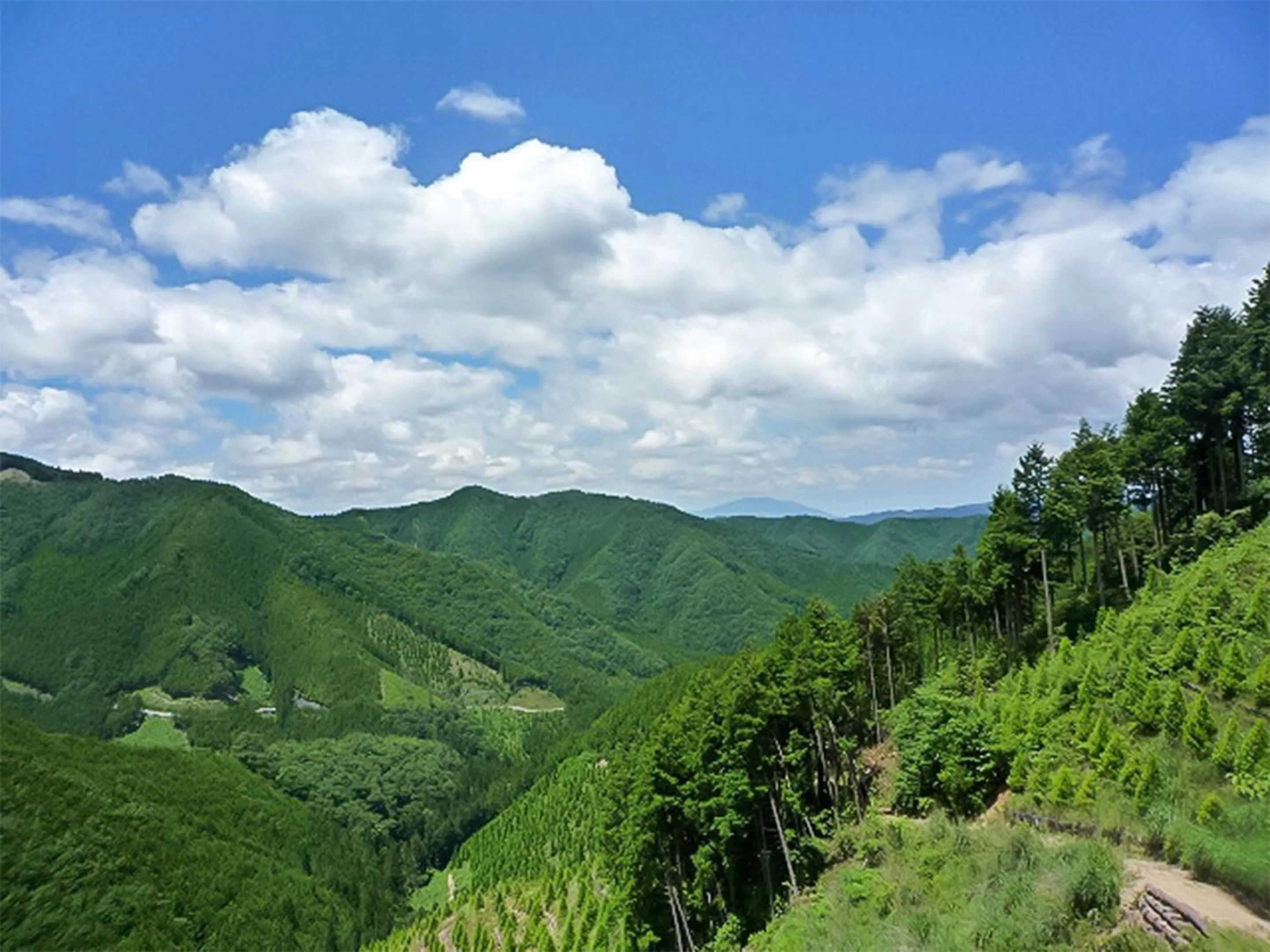 Mountain view in Hotel Nosegawa