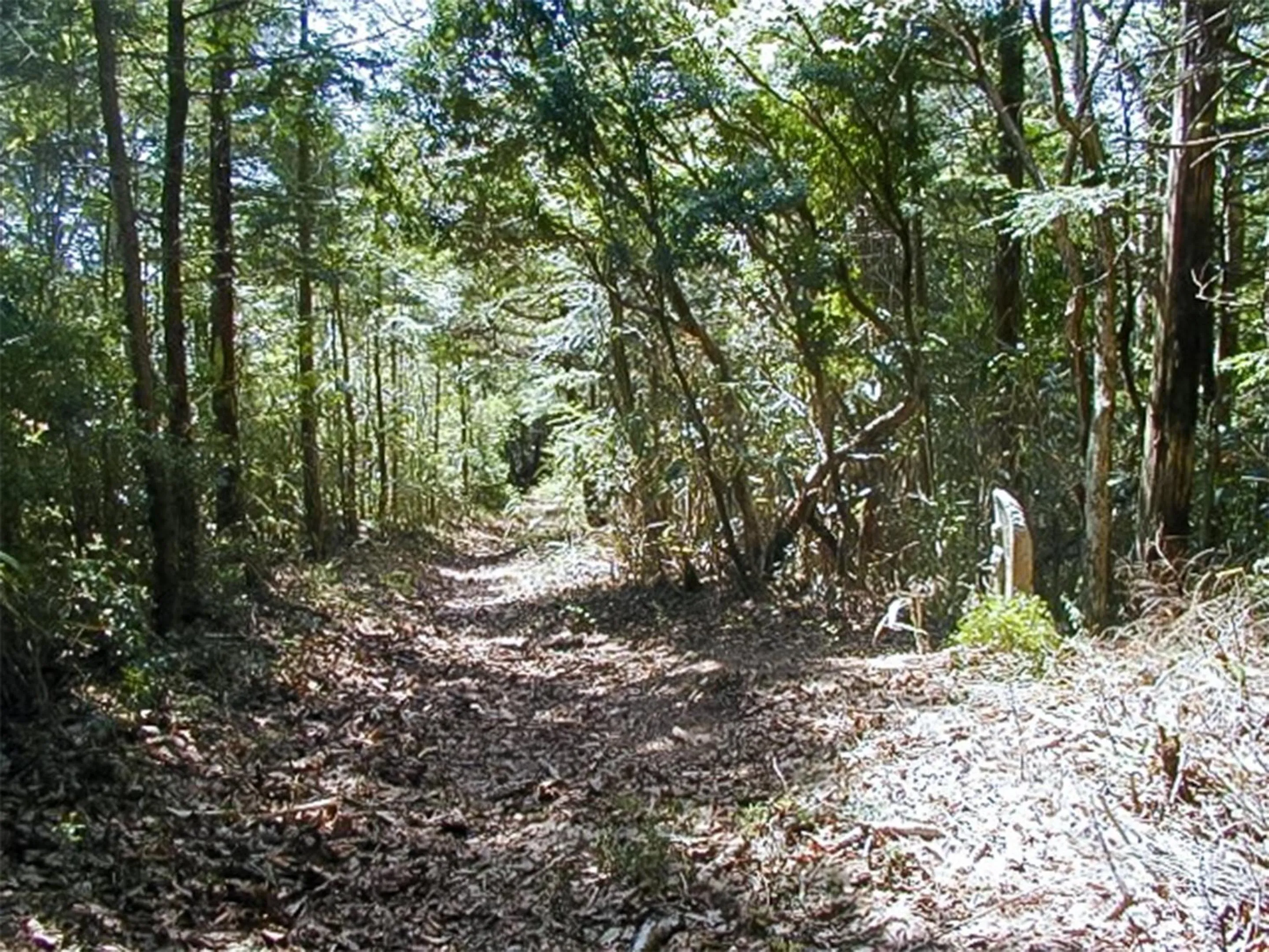 Nearby landmark in Hotel Nosegawa