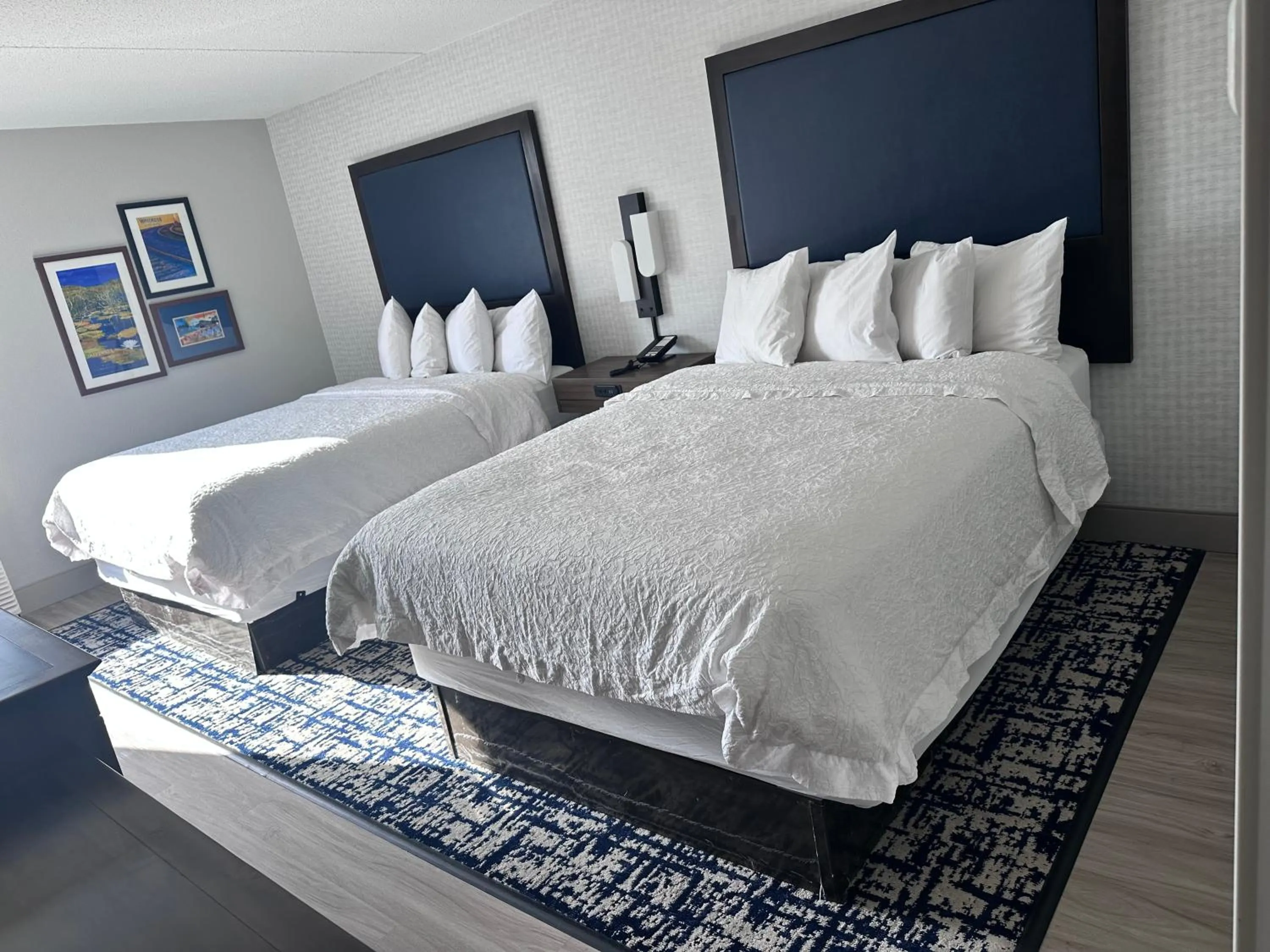 Bed in Hampton Inn Waycross