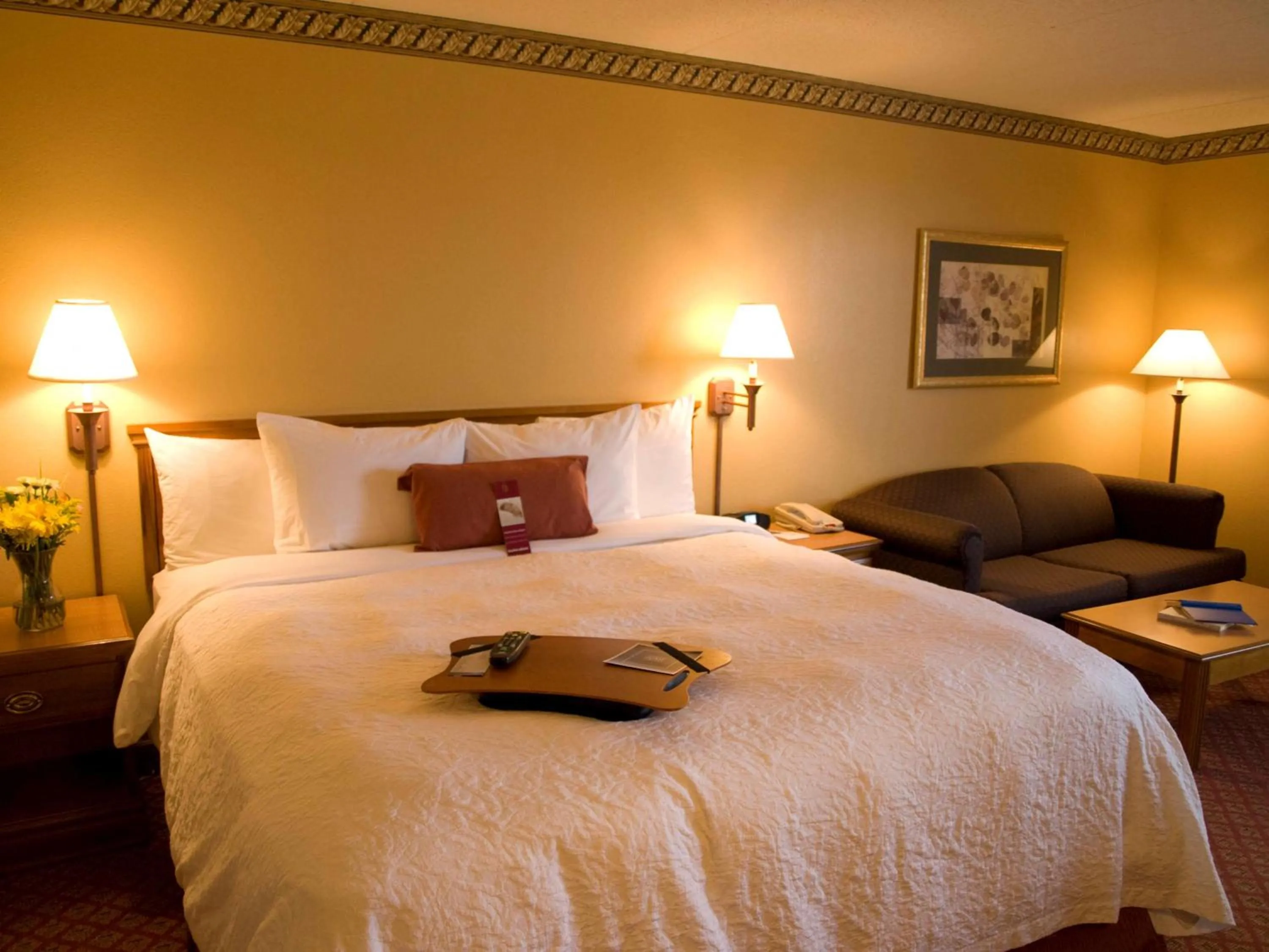 Bed in Hampton Inn Lafayette