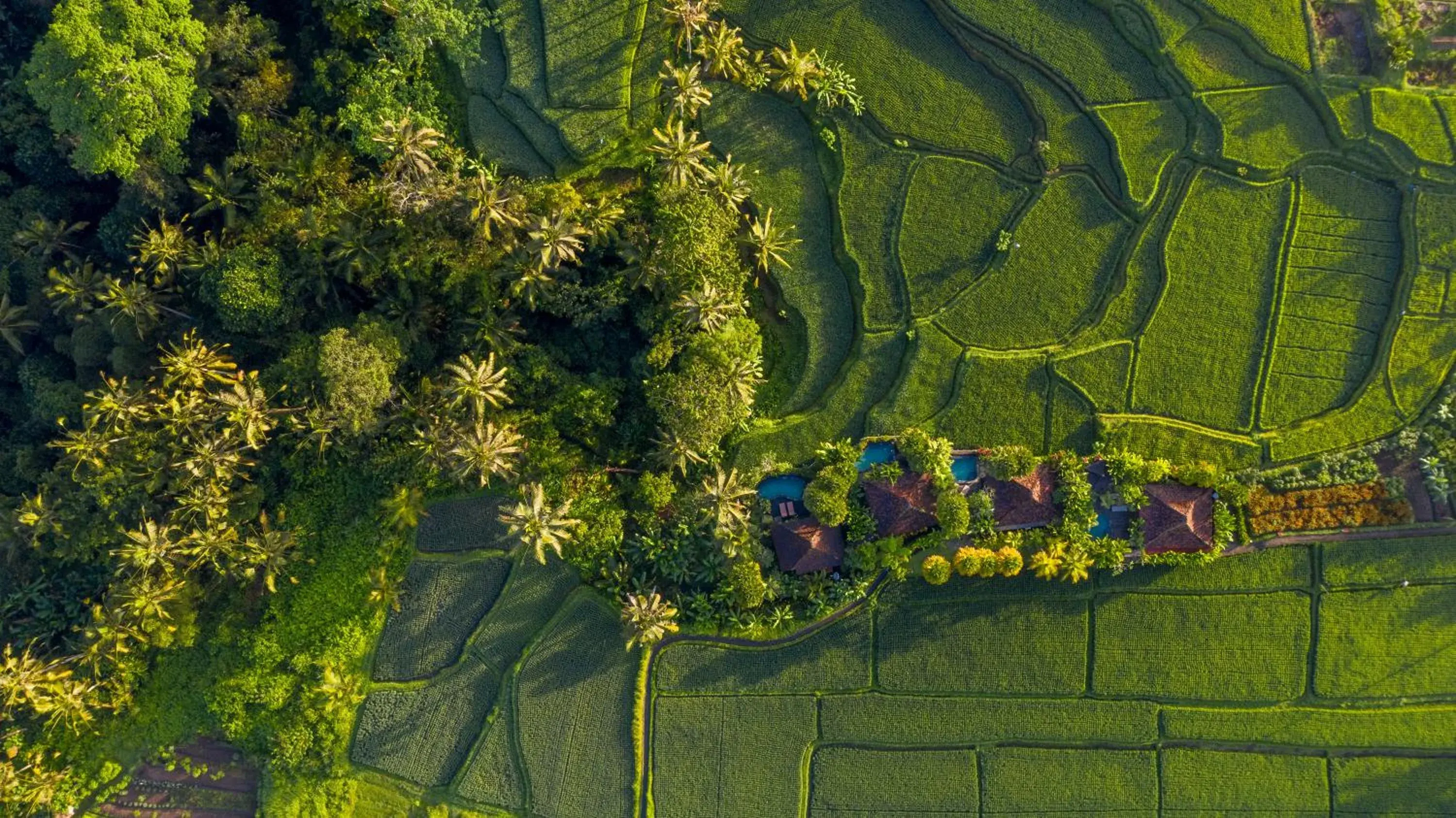 Facade/entrance in Madani Antique Villas Facade/entrance in Madani Antique Villas