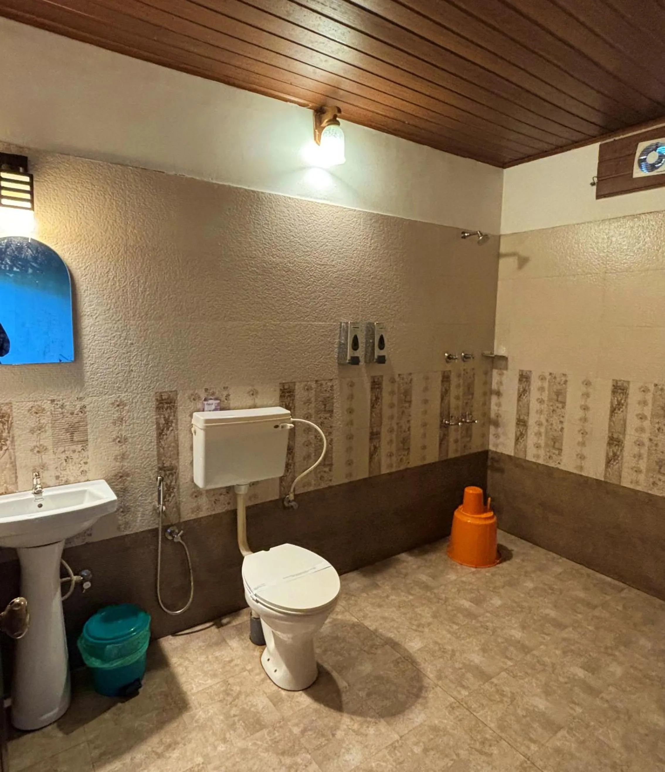 Shower in Dew Drops Farm Resorts