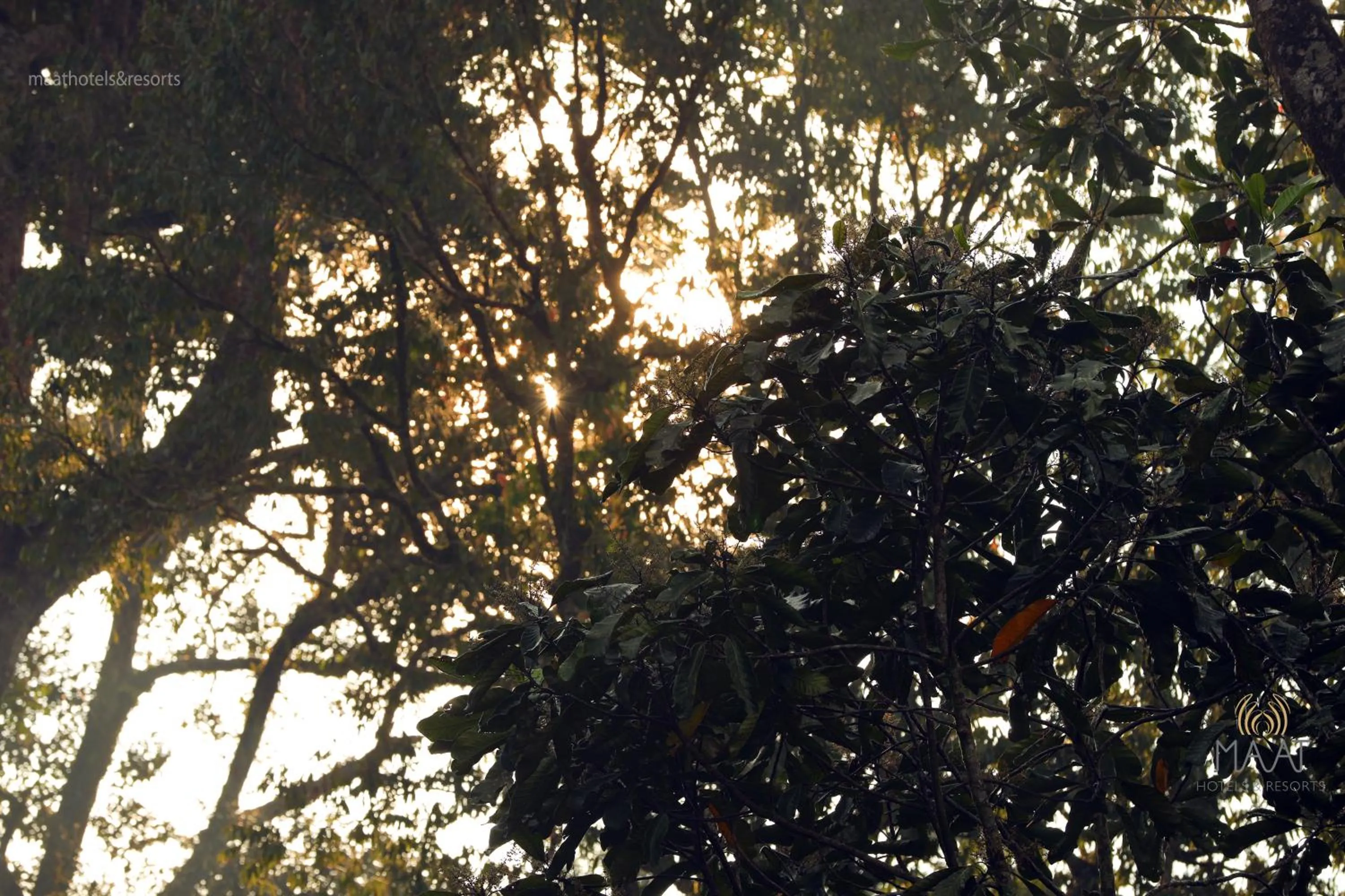 Day in Dew Drops Farm Resorts