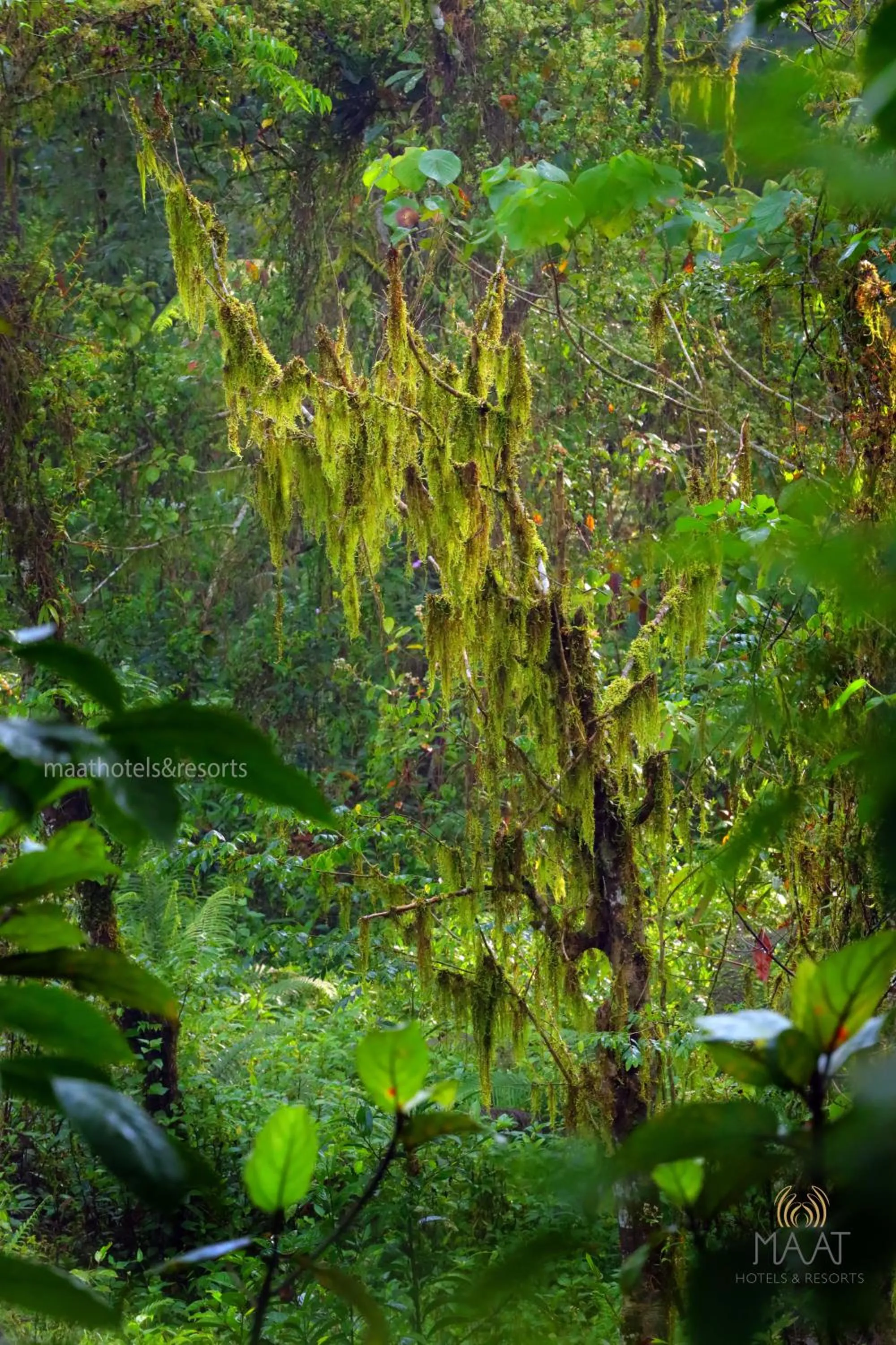 Day in Dew Drops Farm Resorts