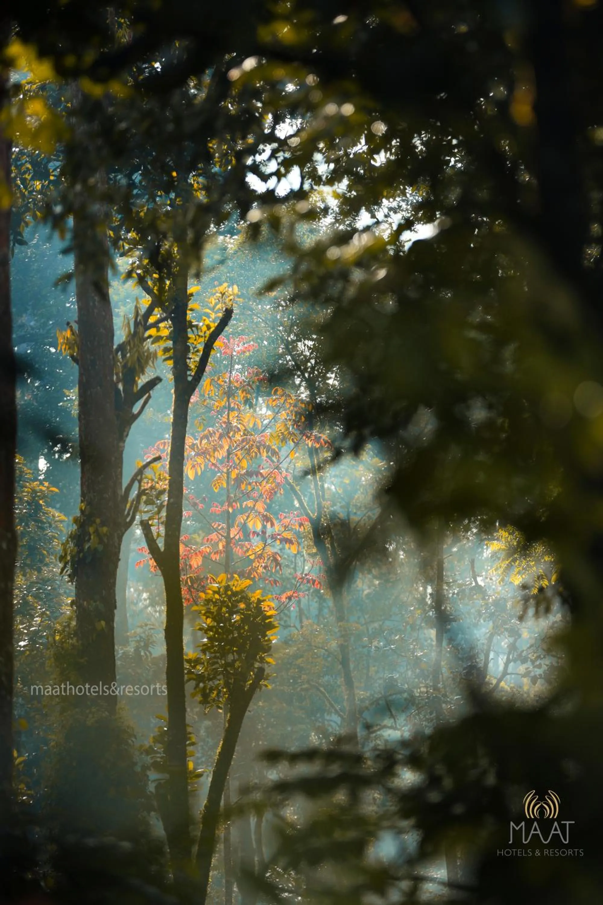 Day in Dew Drops Farm Resorts