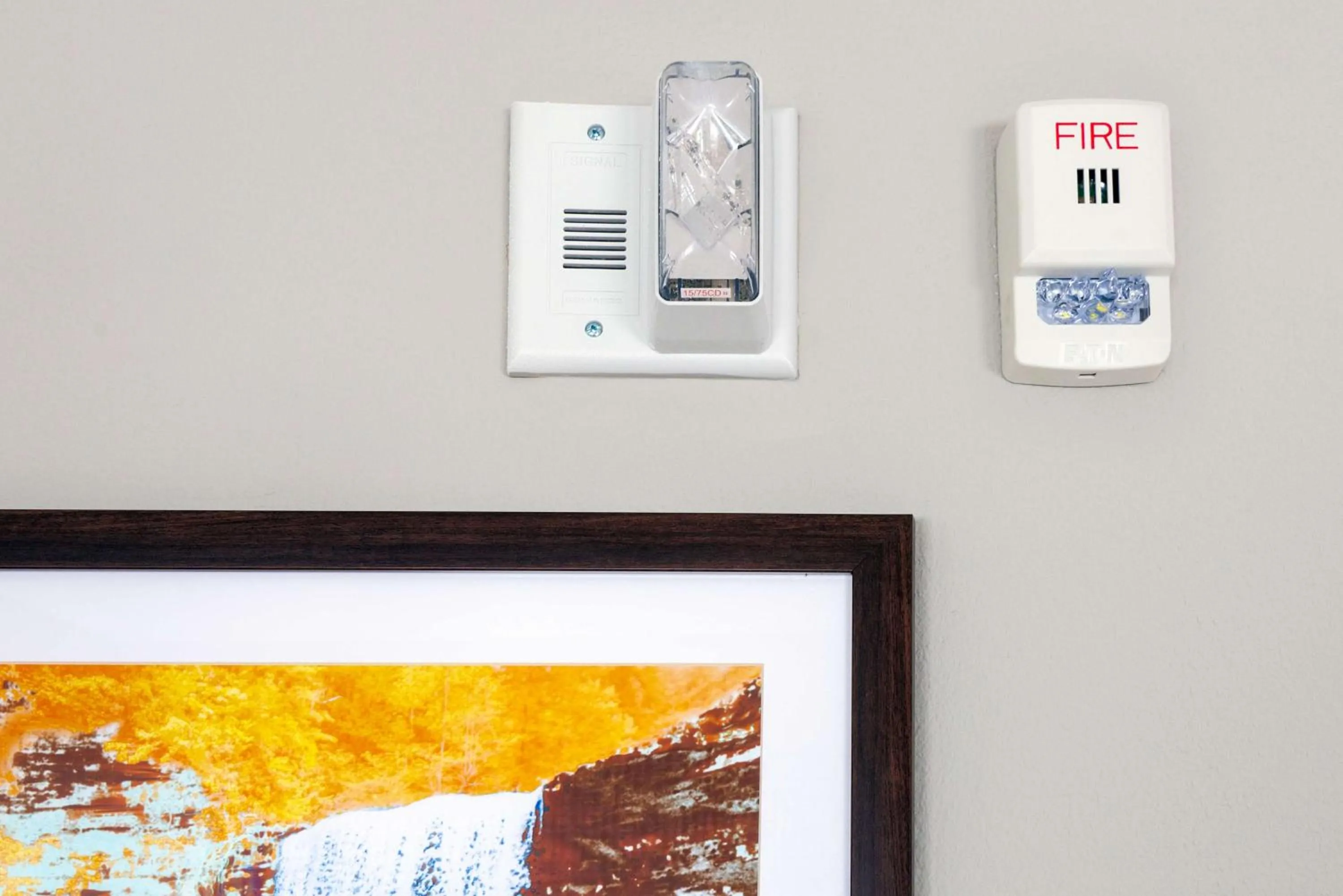 Photo of the whole room in Hampton Inn & Suites Murfreesboro