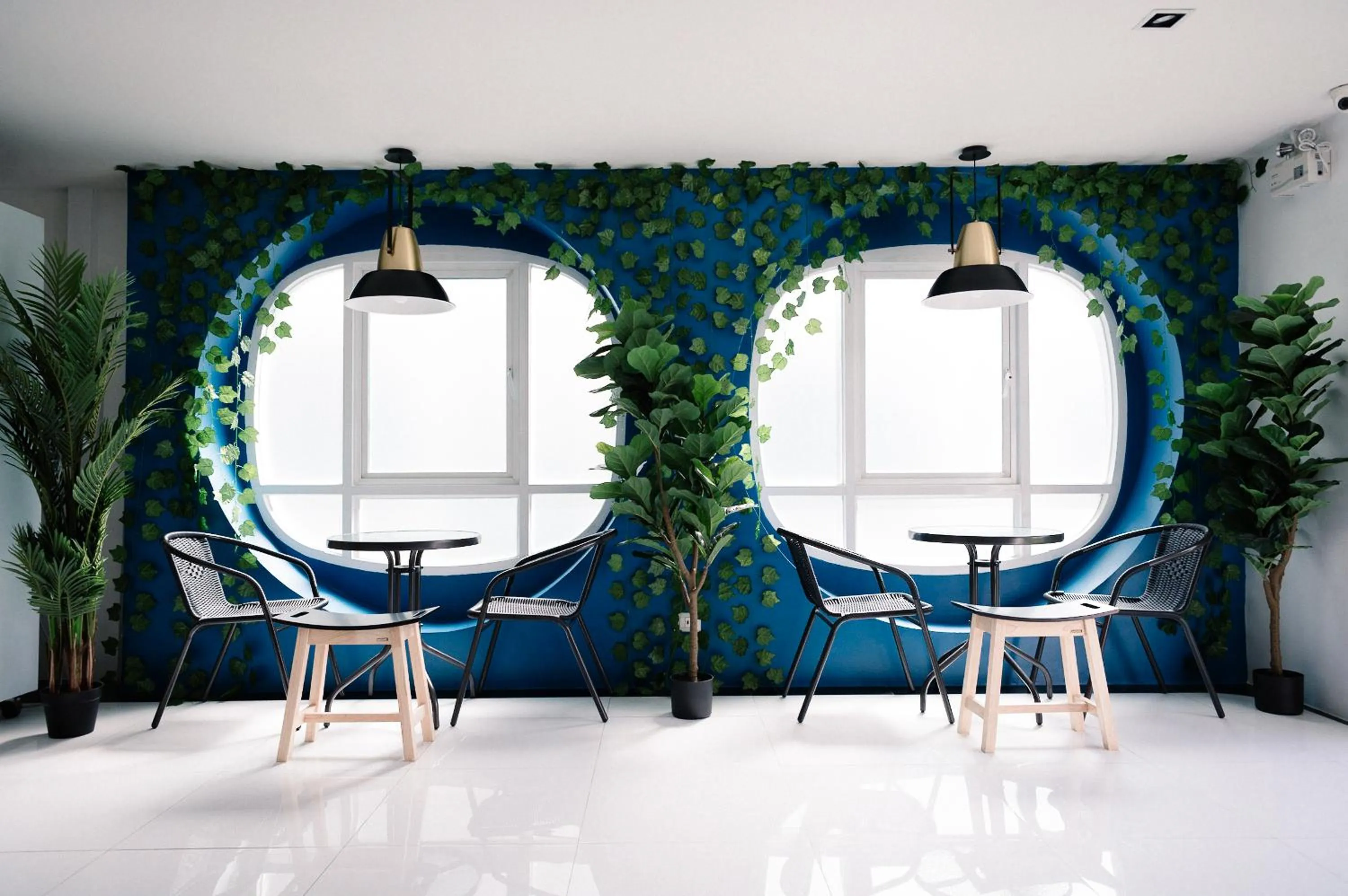 BearPacker Patong Hostel