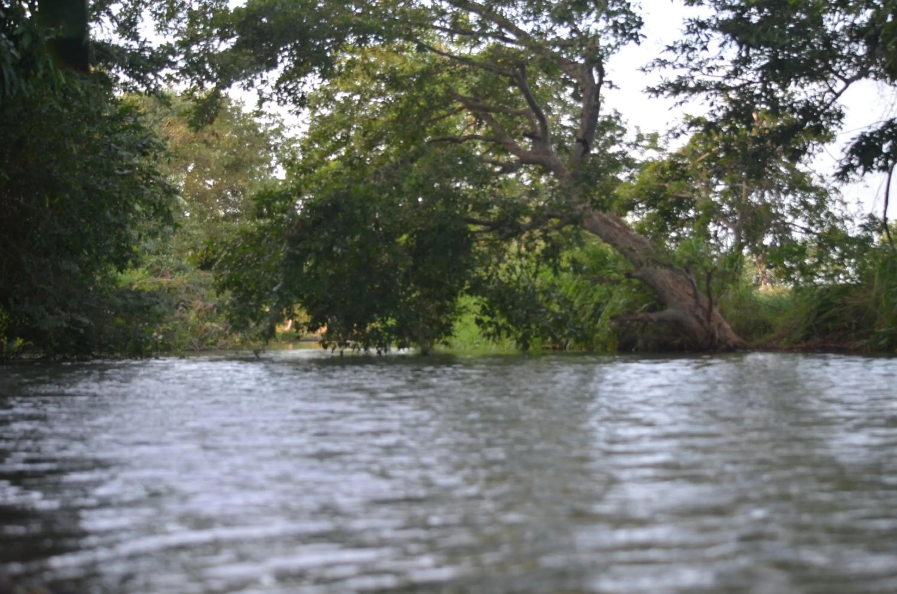 River view in Makulu Safari Camping
