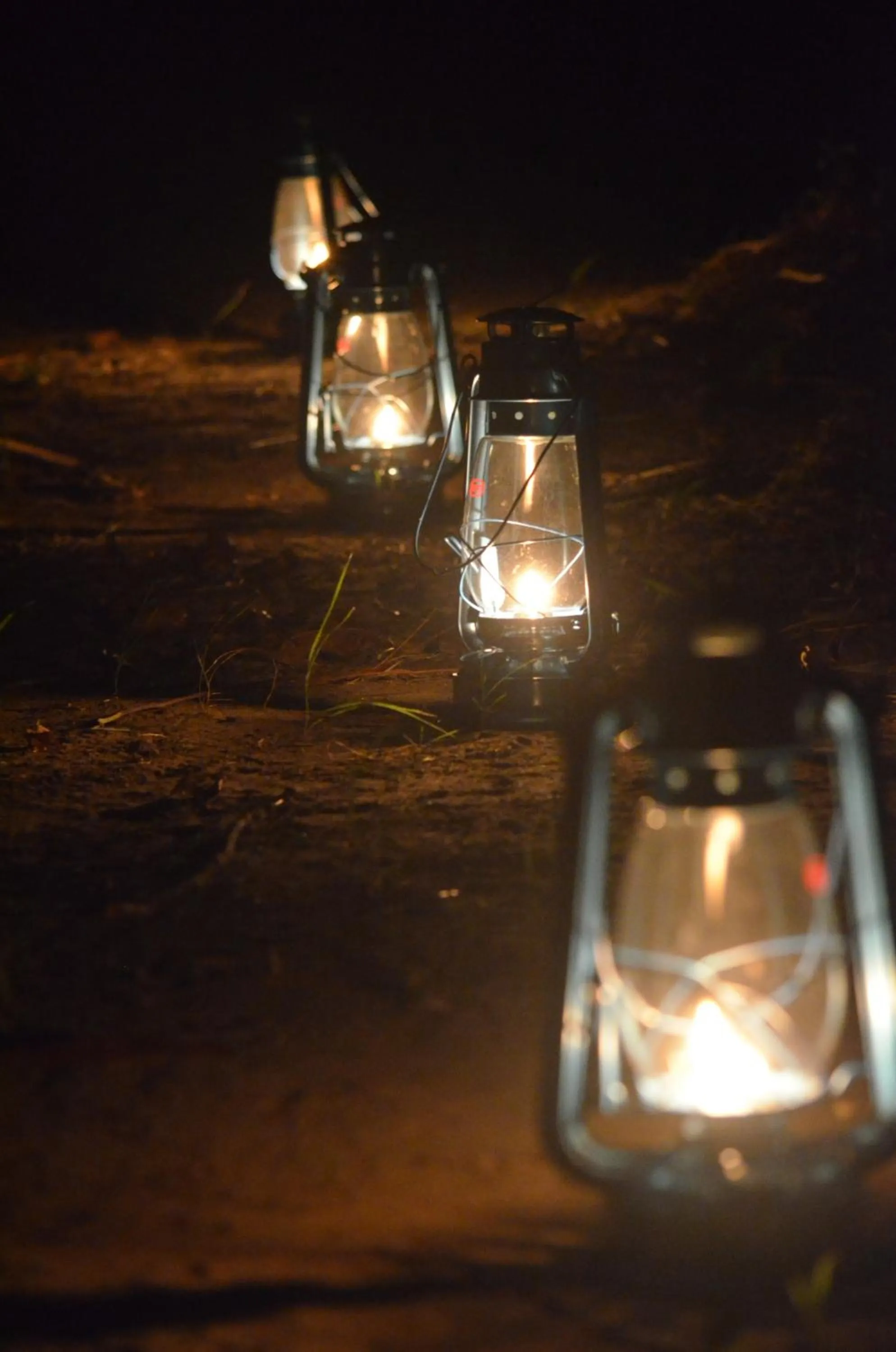 Garden view in Makulu Safari Camping