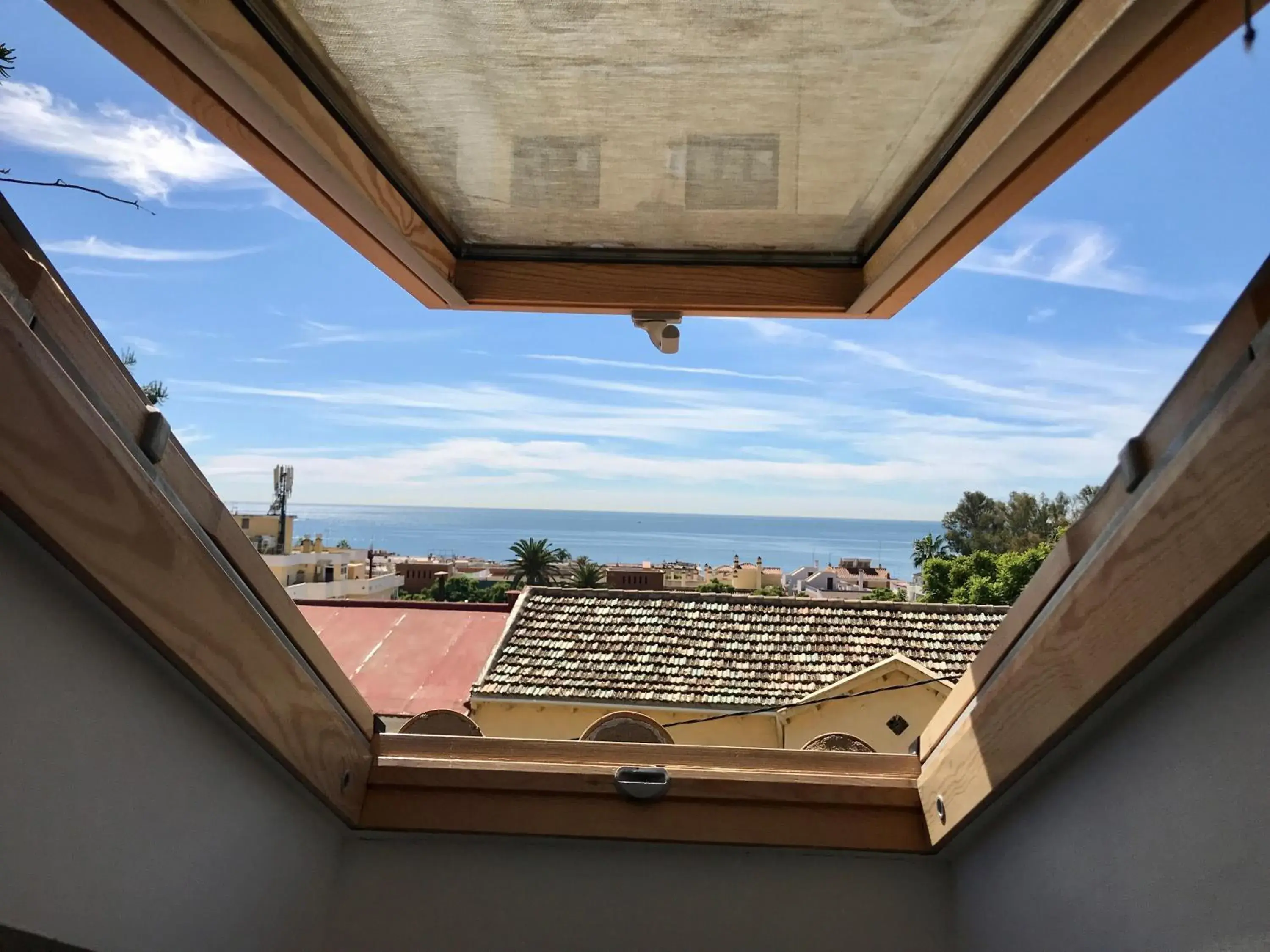 View (from property/room) in Hotel Domus View (from property/room) in Hotel Domus