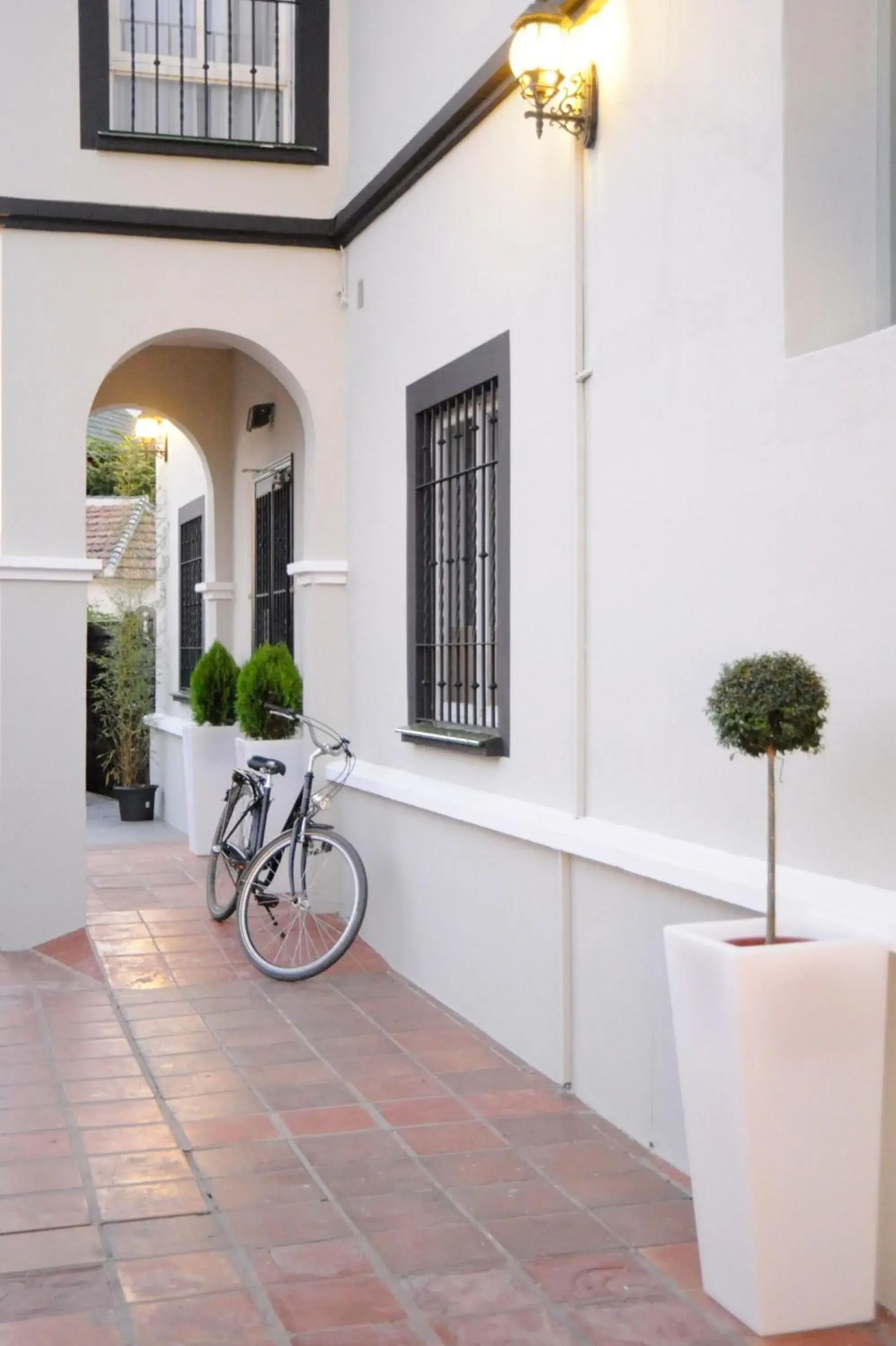 Facade/entrance in Hotel Domus Facade/entrance in Hotel Domus