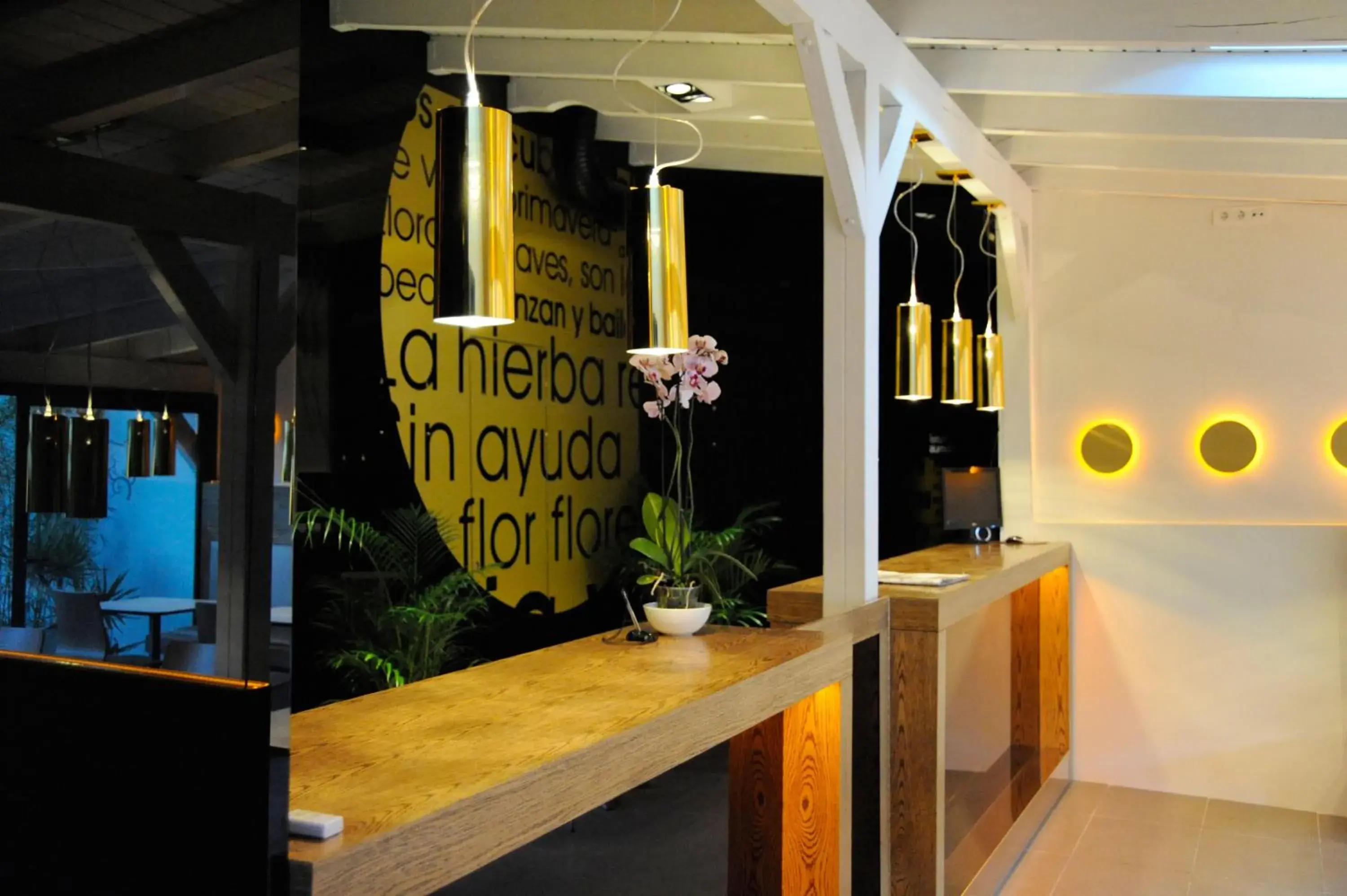 Lobby or reception in Hotel Domus Lobby or reception in Hotel Domus