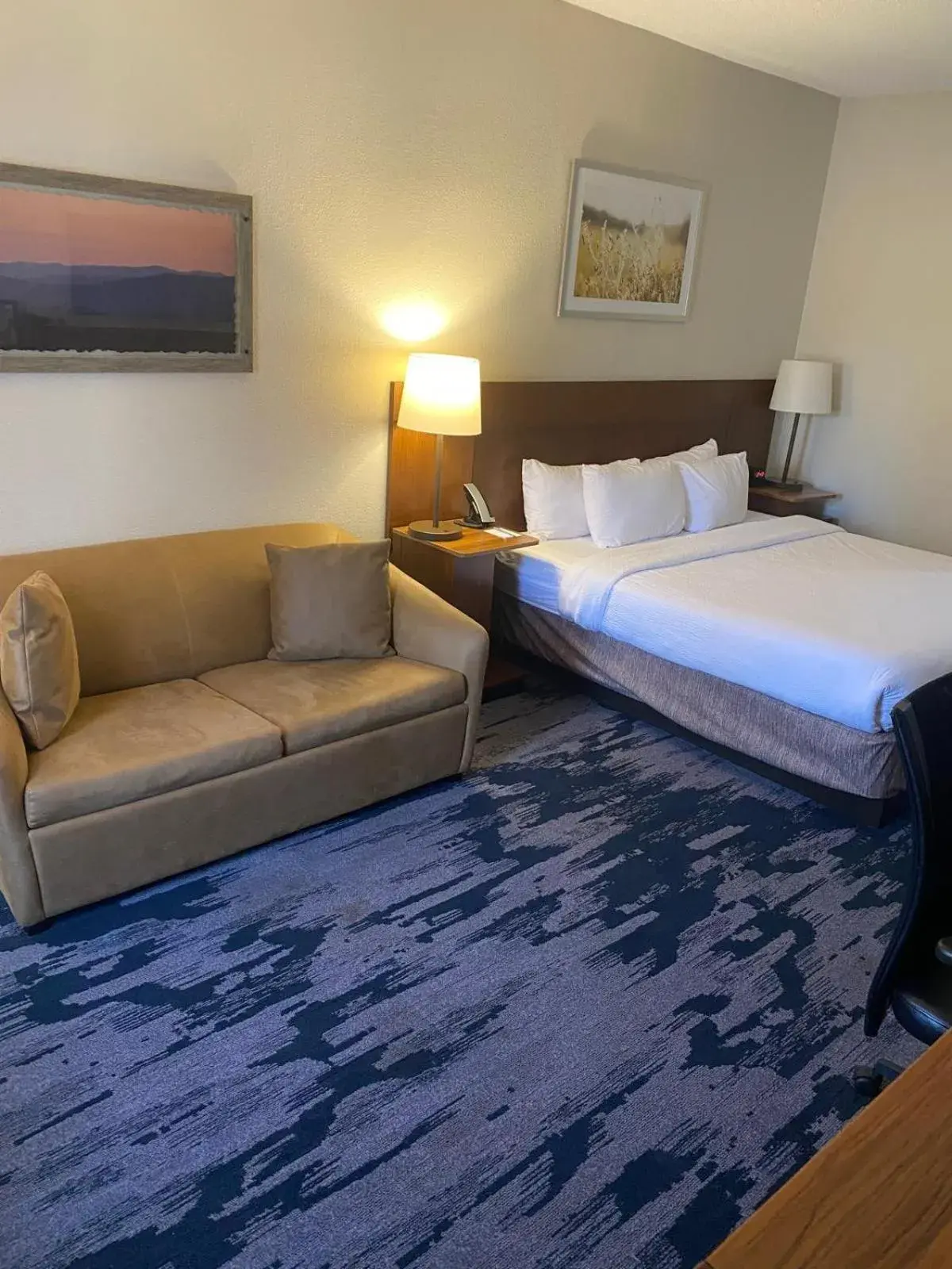 King Room with Sofa Bed in Fairfield by Marriott Inn & Suites Columbia Harbison King Room with Sofa Bed in Fairfield by Marriott Inn & Suites Columbia Harbison