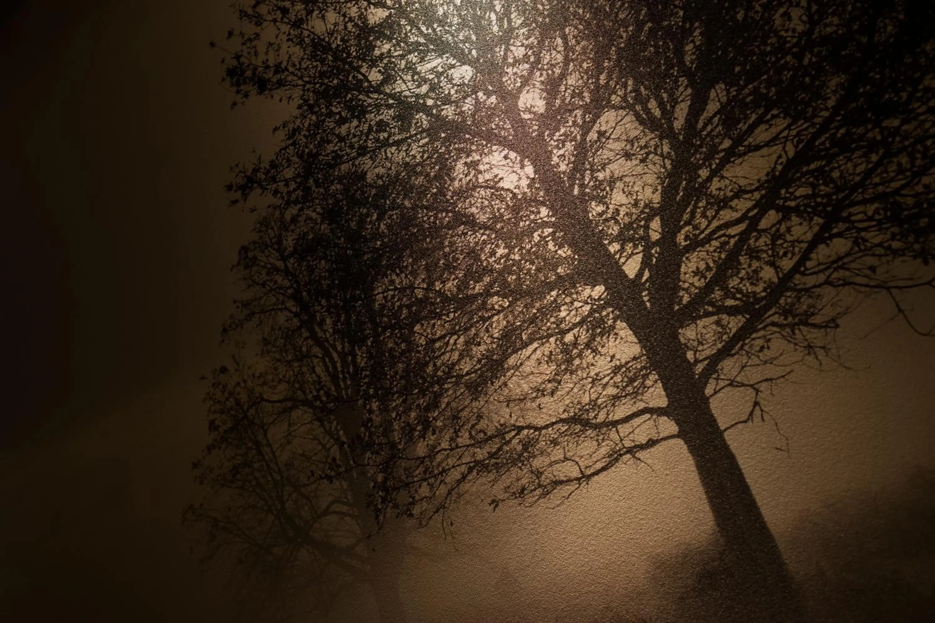 Decorative detail in The CALM Hotel Tokyo
