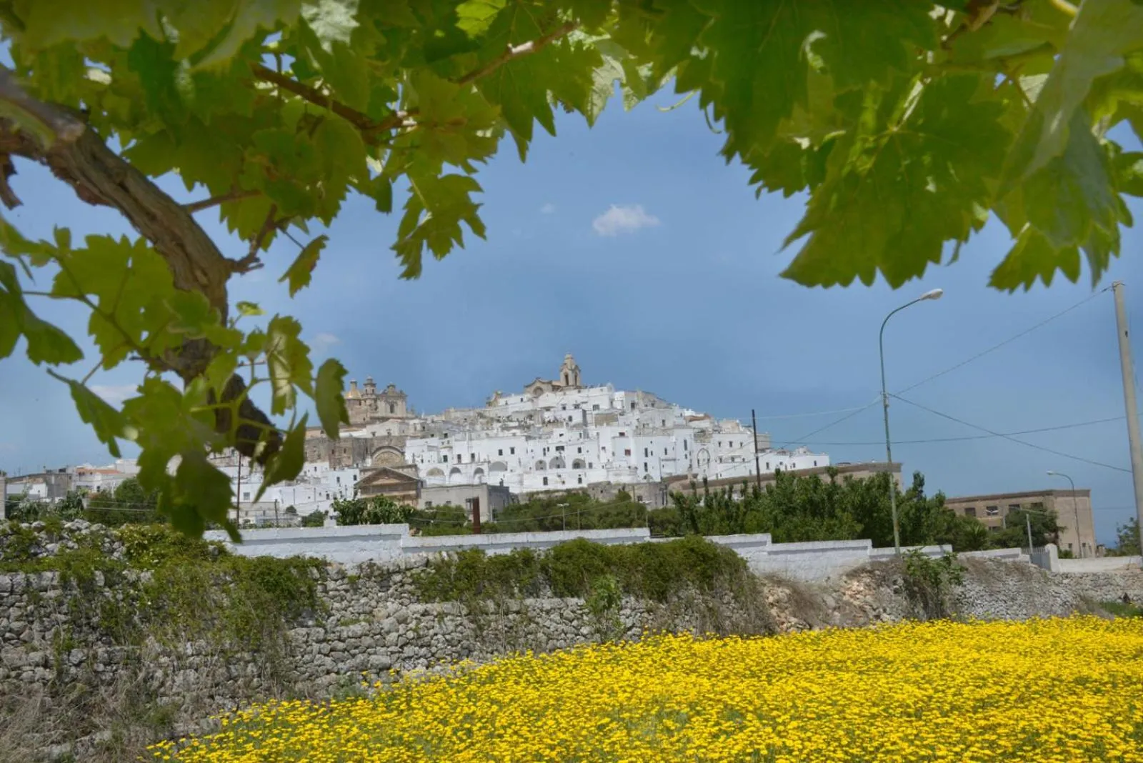 Agriturismo Salinola