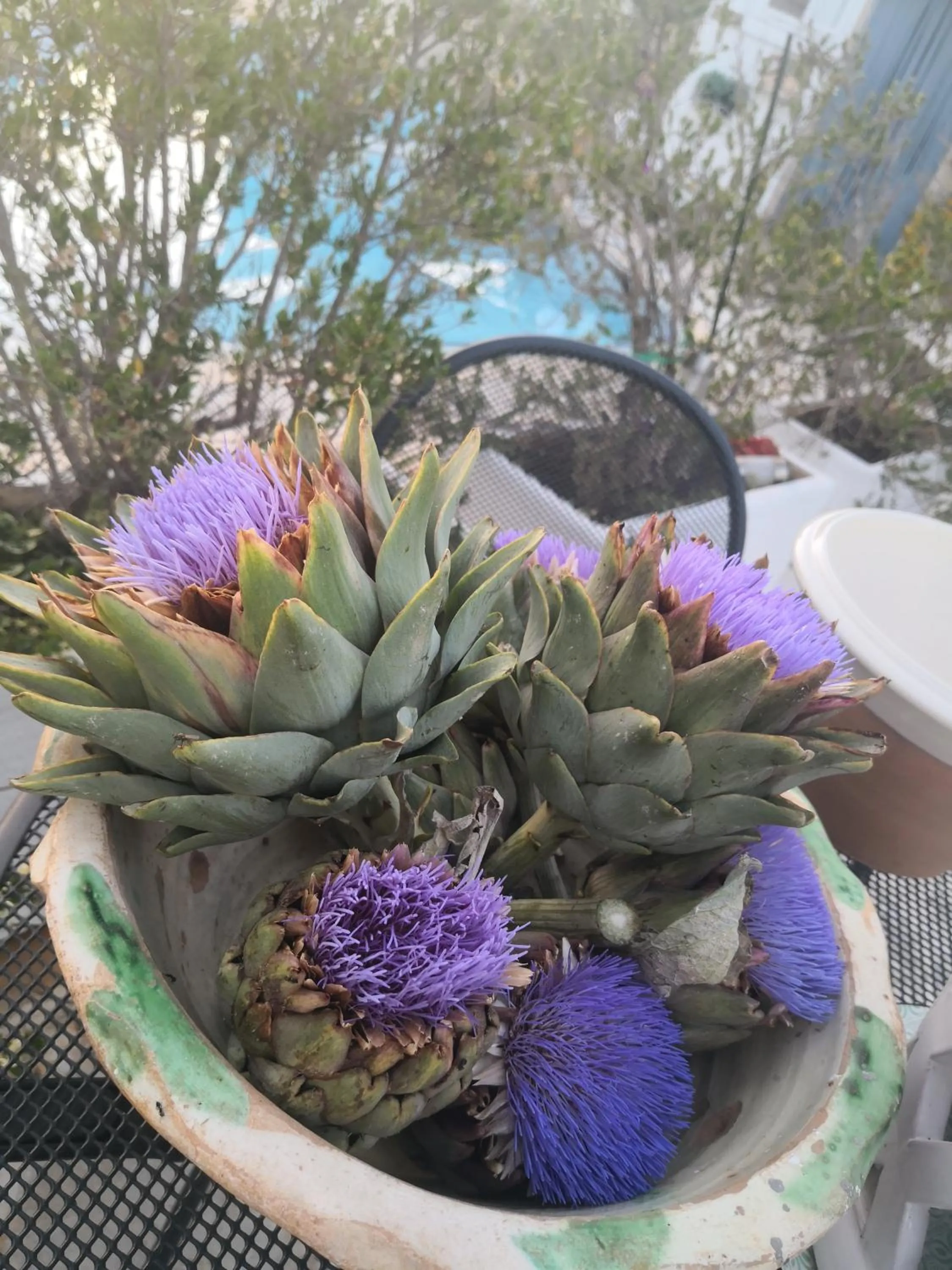 Agriturismo Salinola