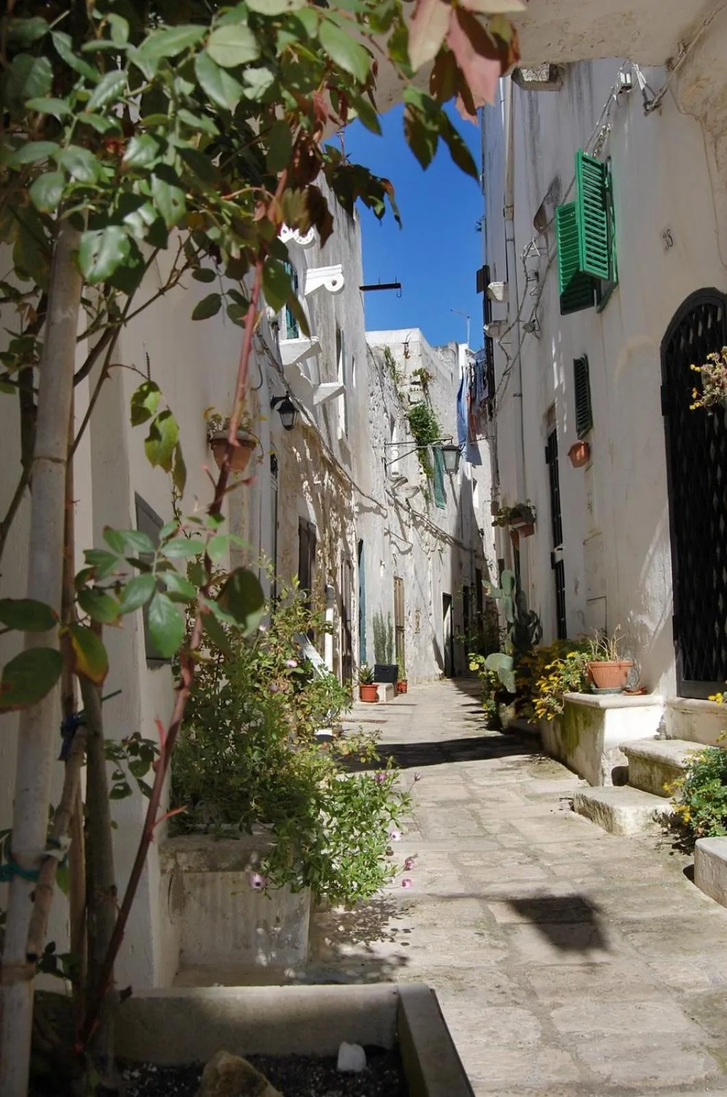 Agriturismo Salinola