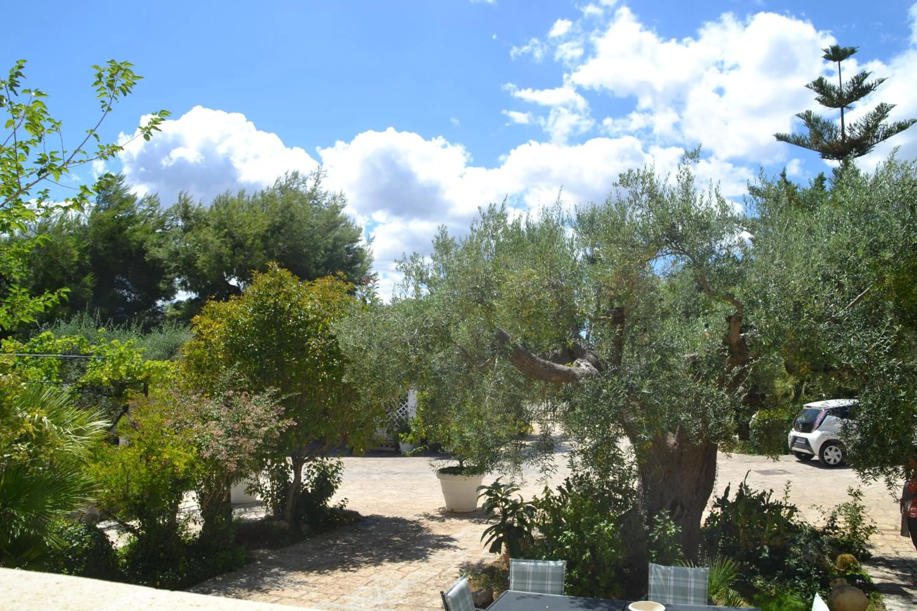 Garden in Agriturismo Salinola