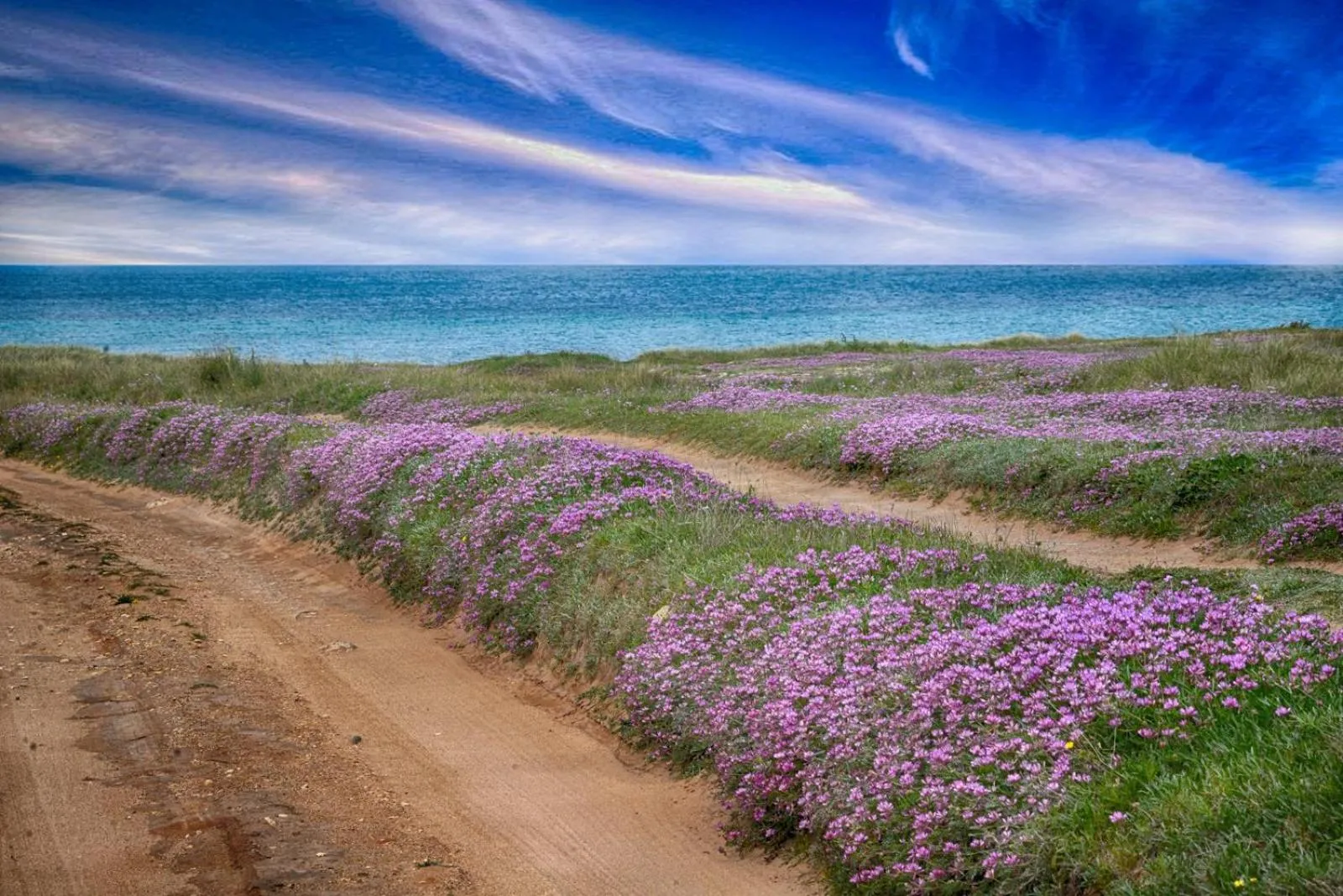 Agriturismo Salinola