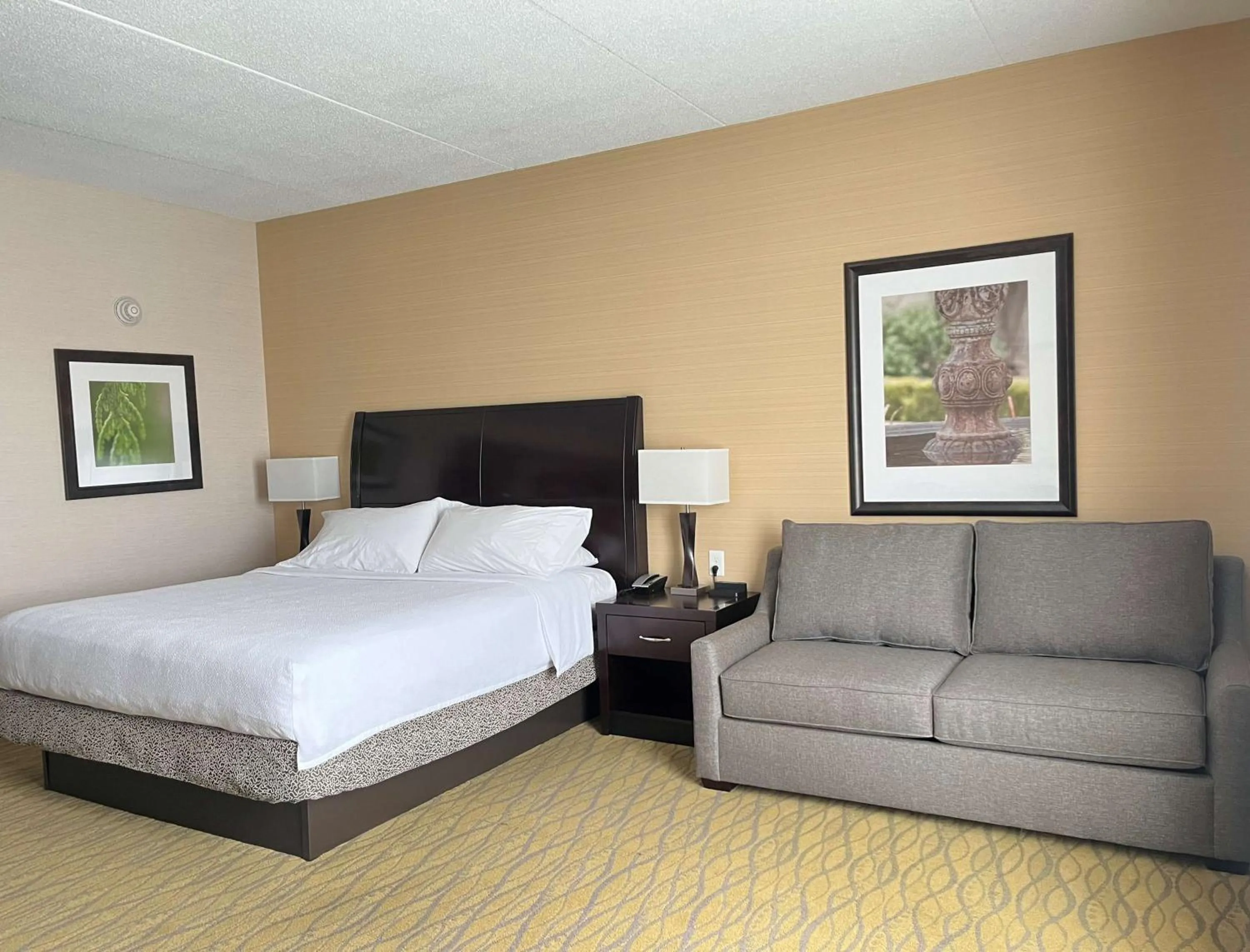 Living room, Bed in Hilton Garden Inn Indiana at IUP