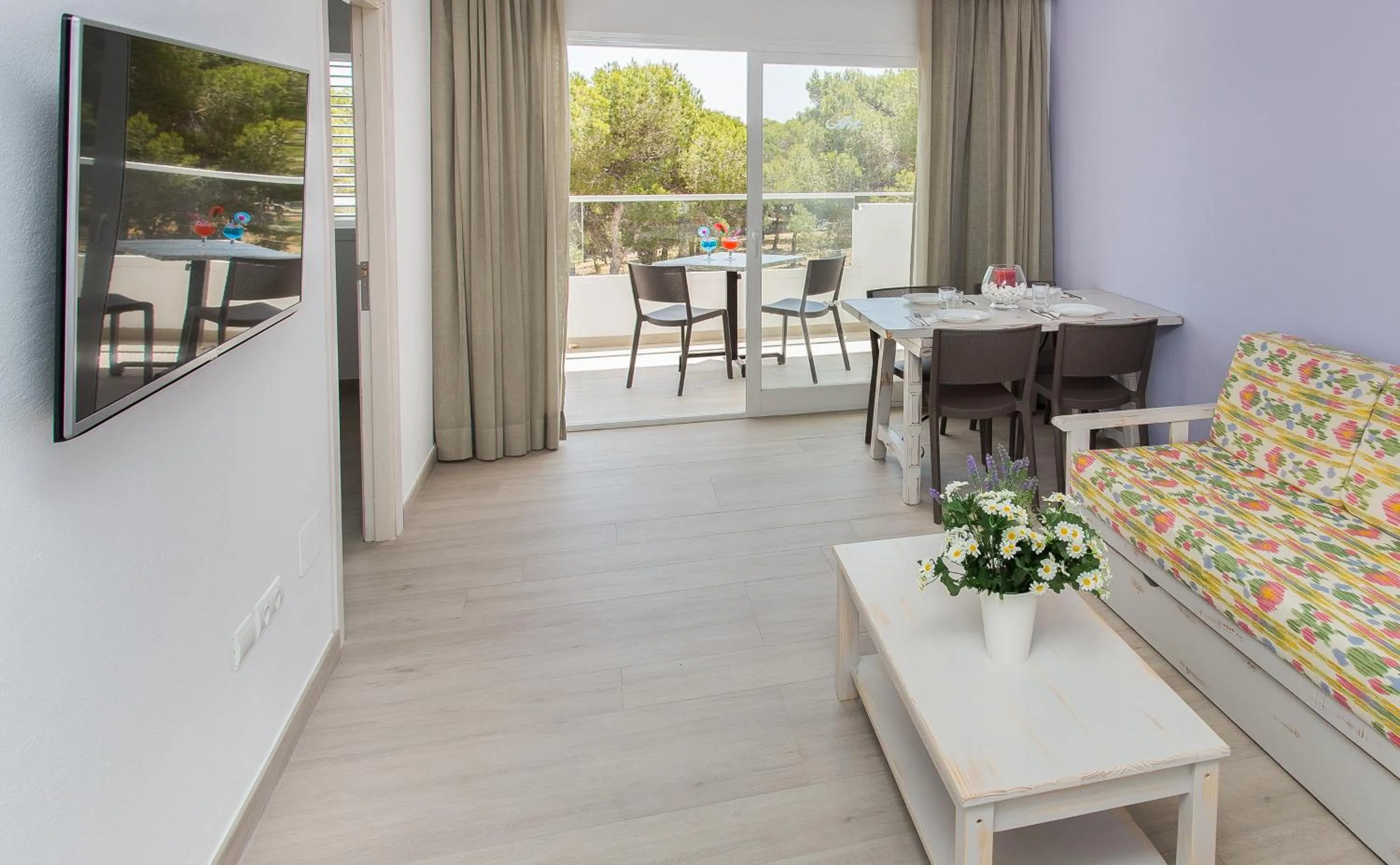 TV and multimedia in Typic Art