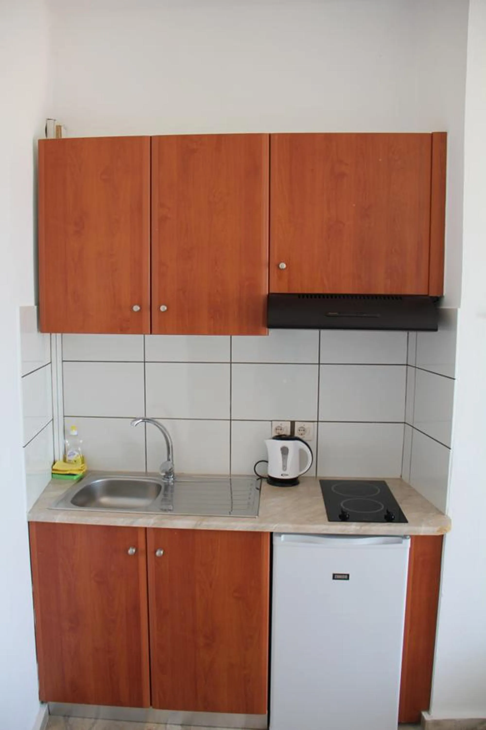Kitchen or kitchenette in Hotel Alkyon