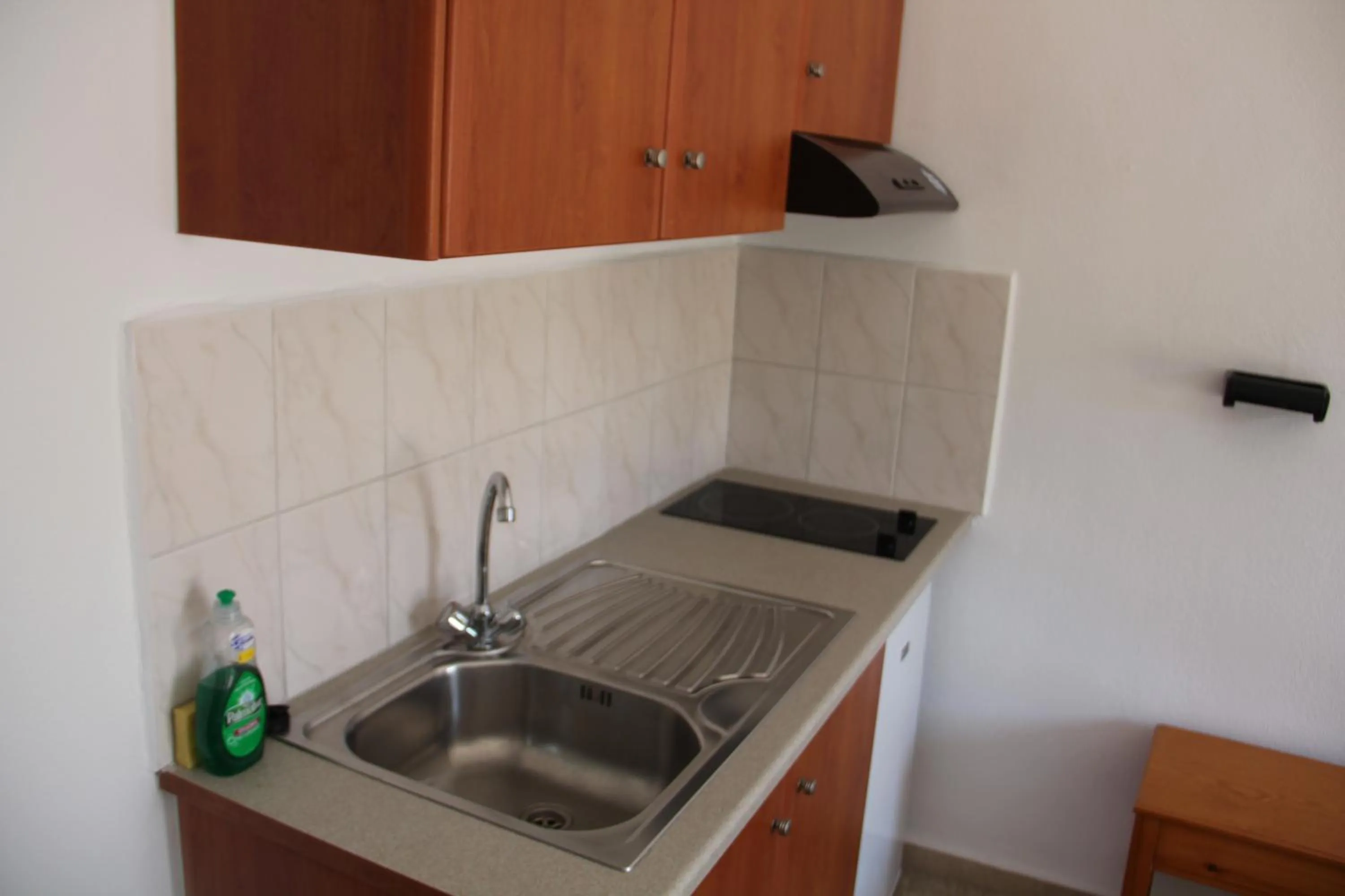 Kitchen or kitchenette in Hotel Alkyon