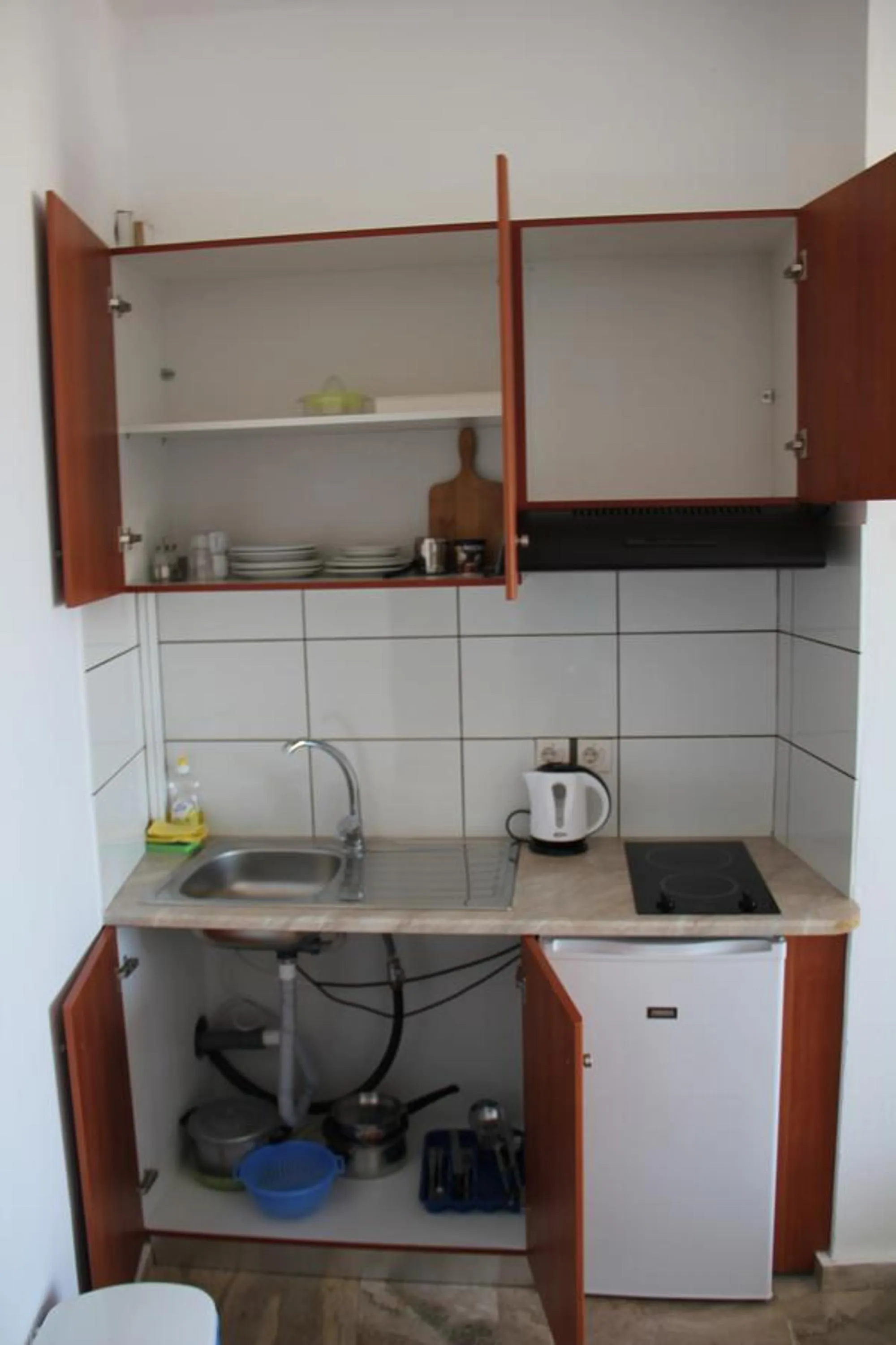 Kitchen or kitchenette in Hotel Alkyon