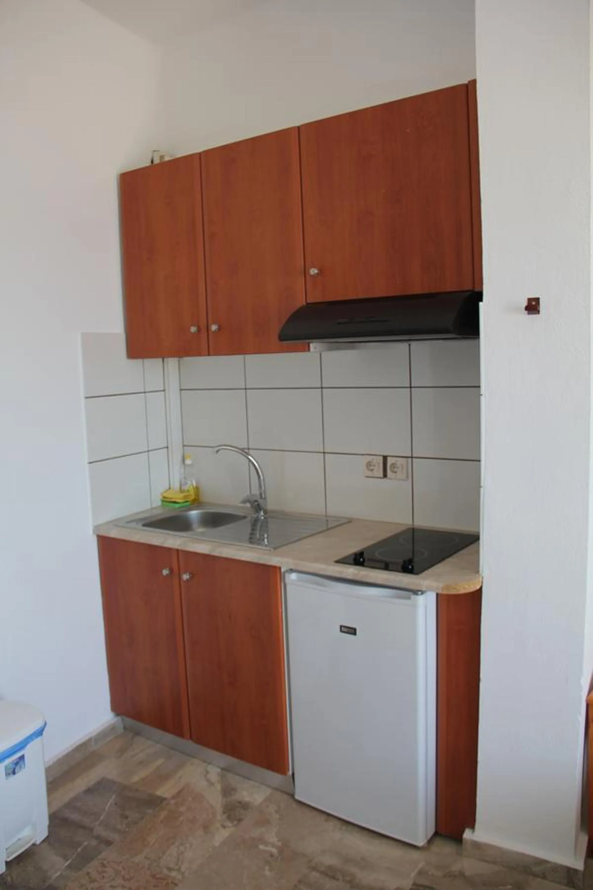 Kitchen or kitchenette in Hotel Alkyon