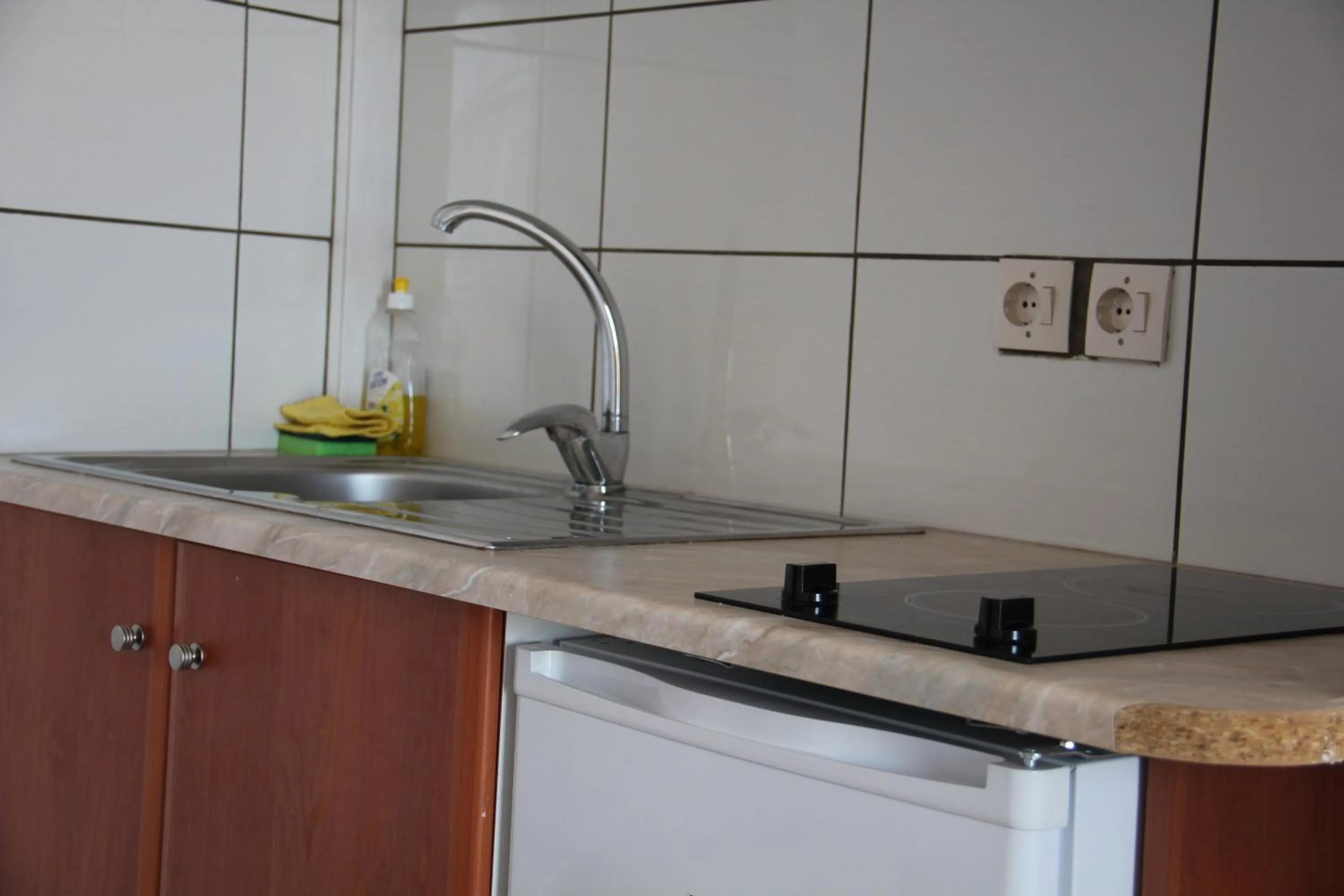 Kitchen or kitchenette in Hotel Alkyon