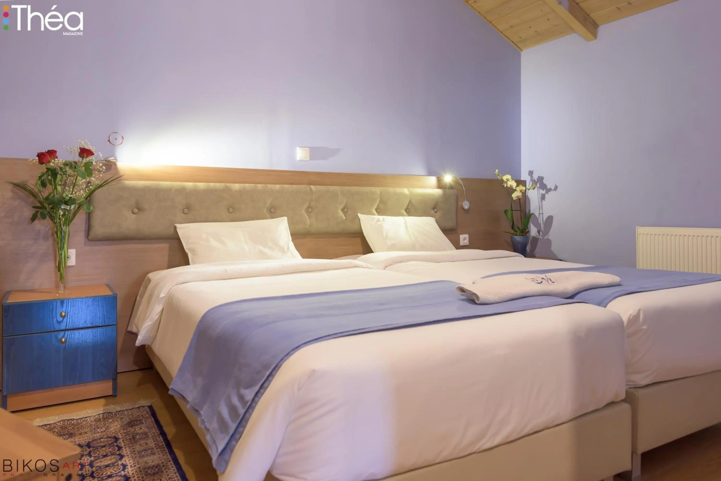 One-Bedroom Apartment in Sofia Apartments