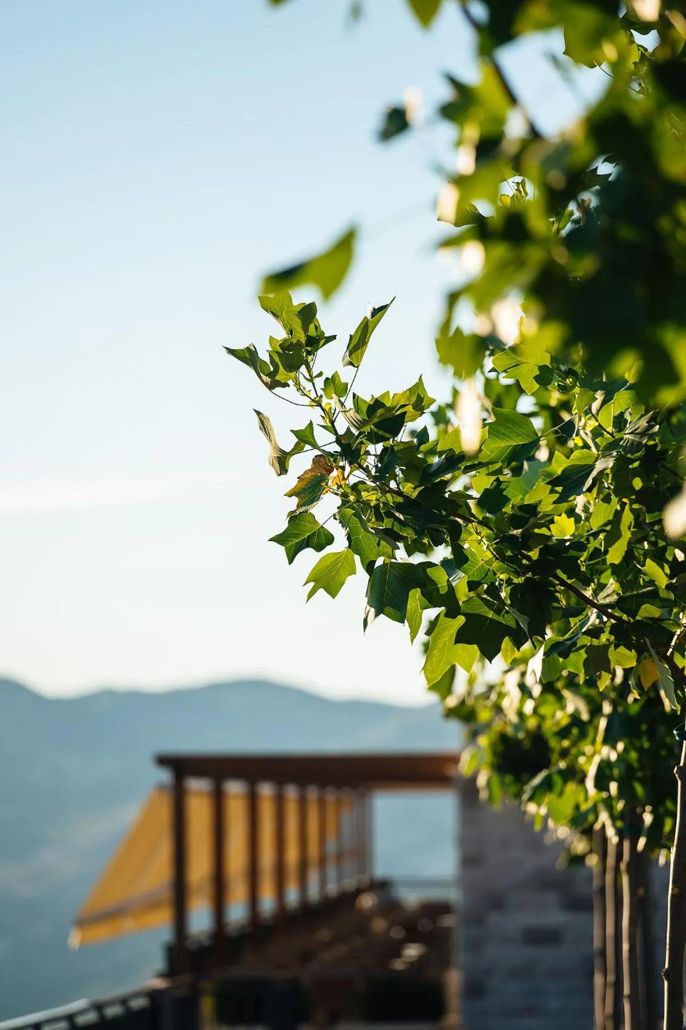 Restaurant/places to eat in Hotel Sokoline