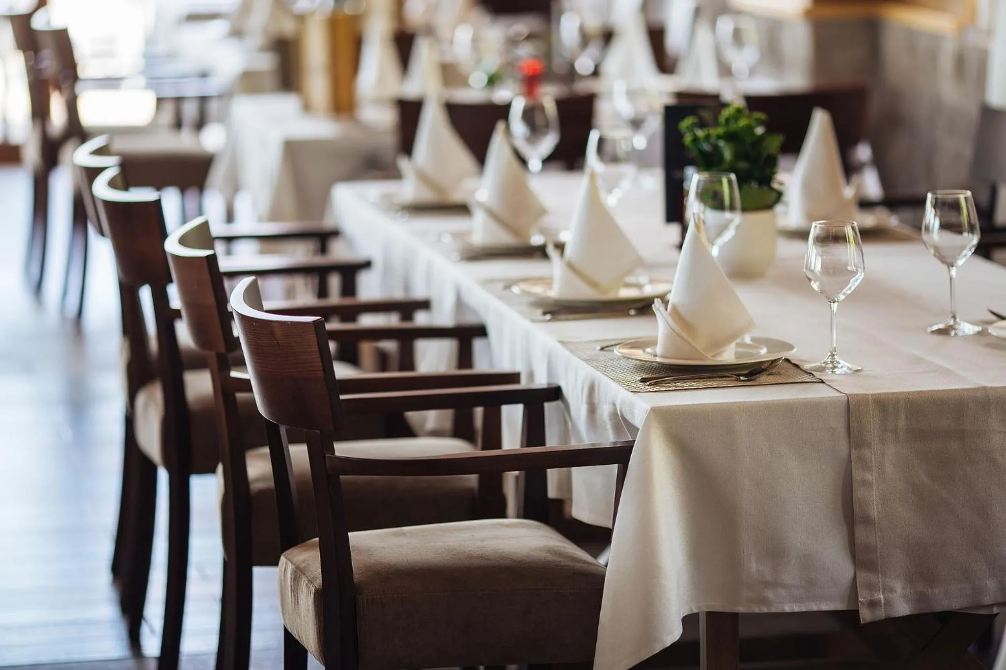 Restaurant/places to eat in Hotel Sokoline