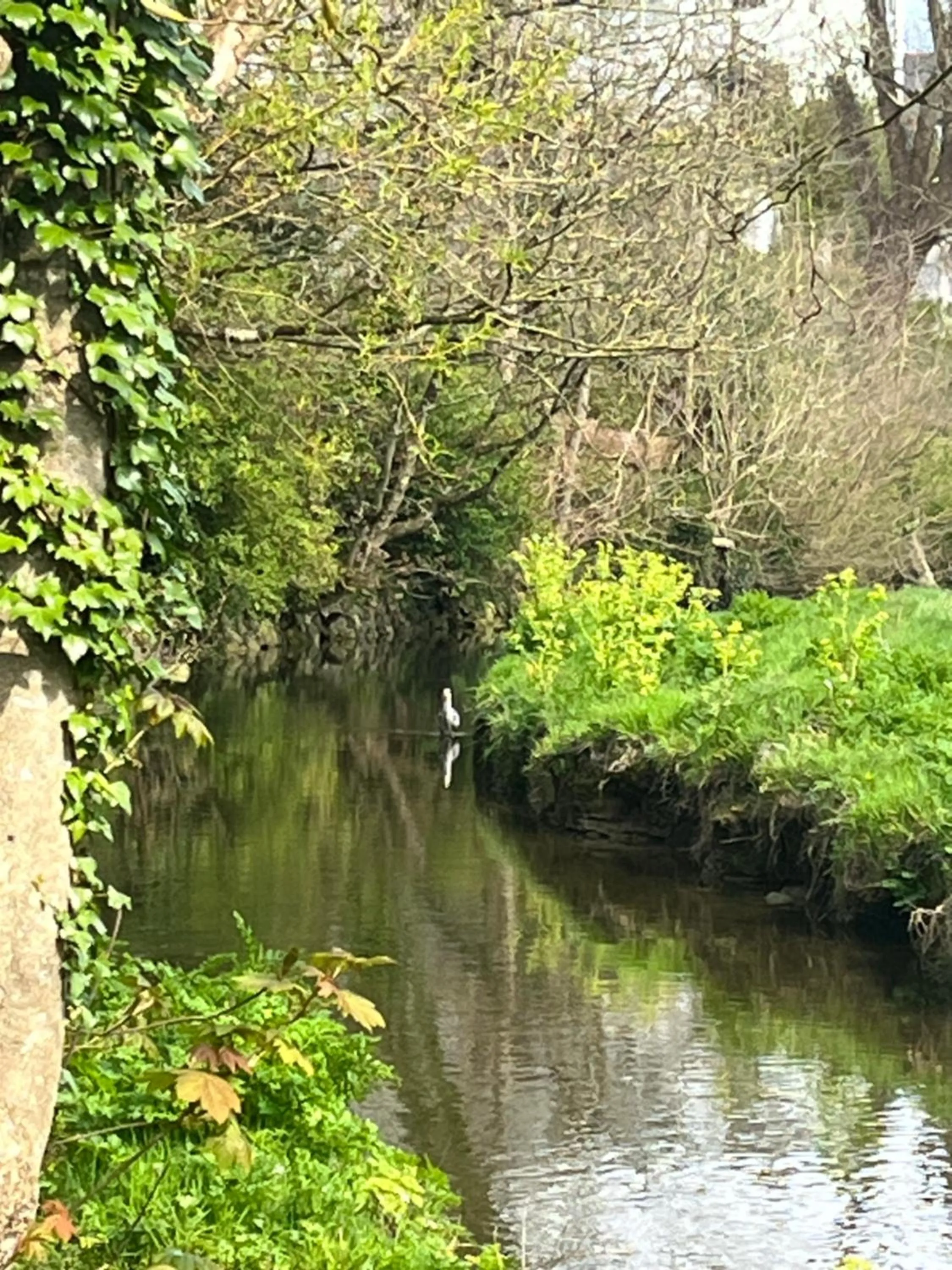 Castellor Bed & Breakfast