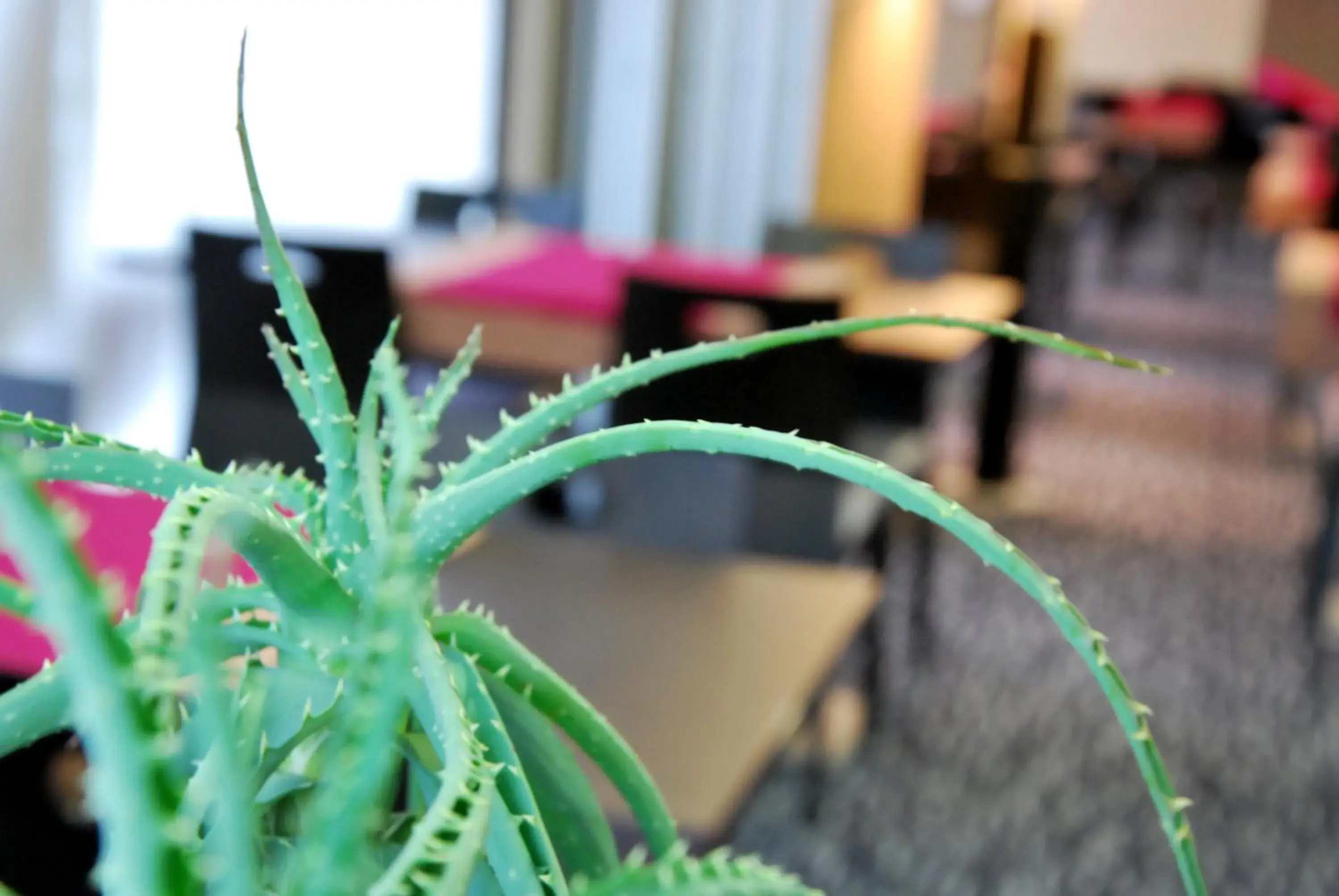 Park Hôtel & Appartements Park Hôtel & Appartements