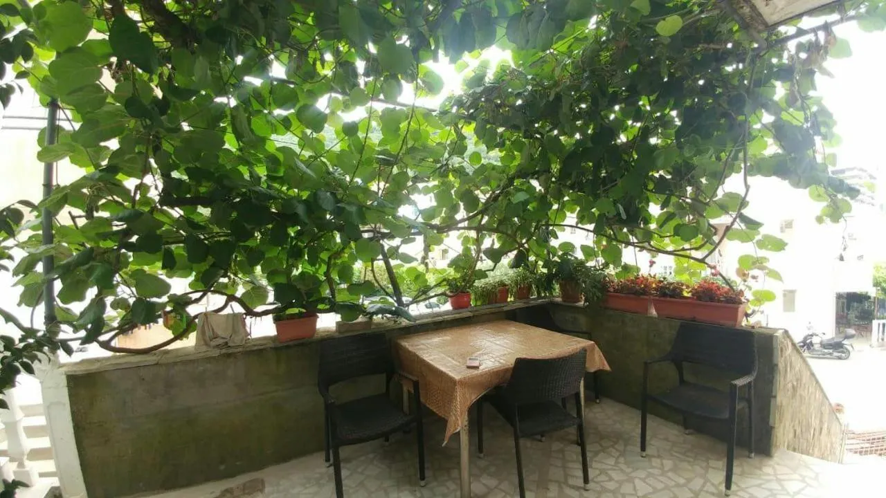 Day in Apartman Bećir