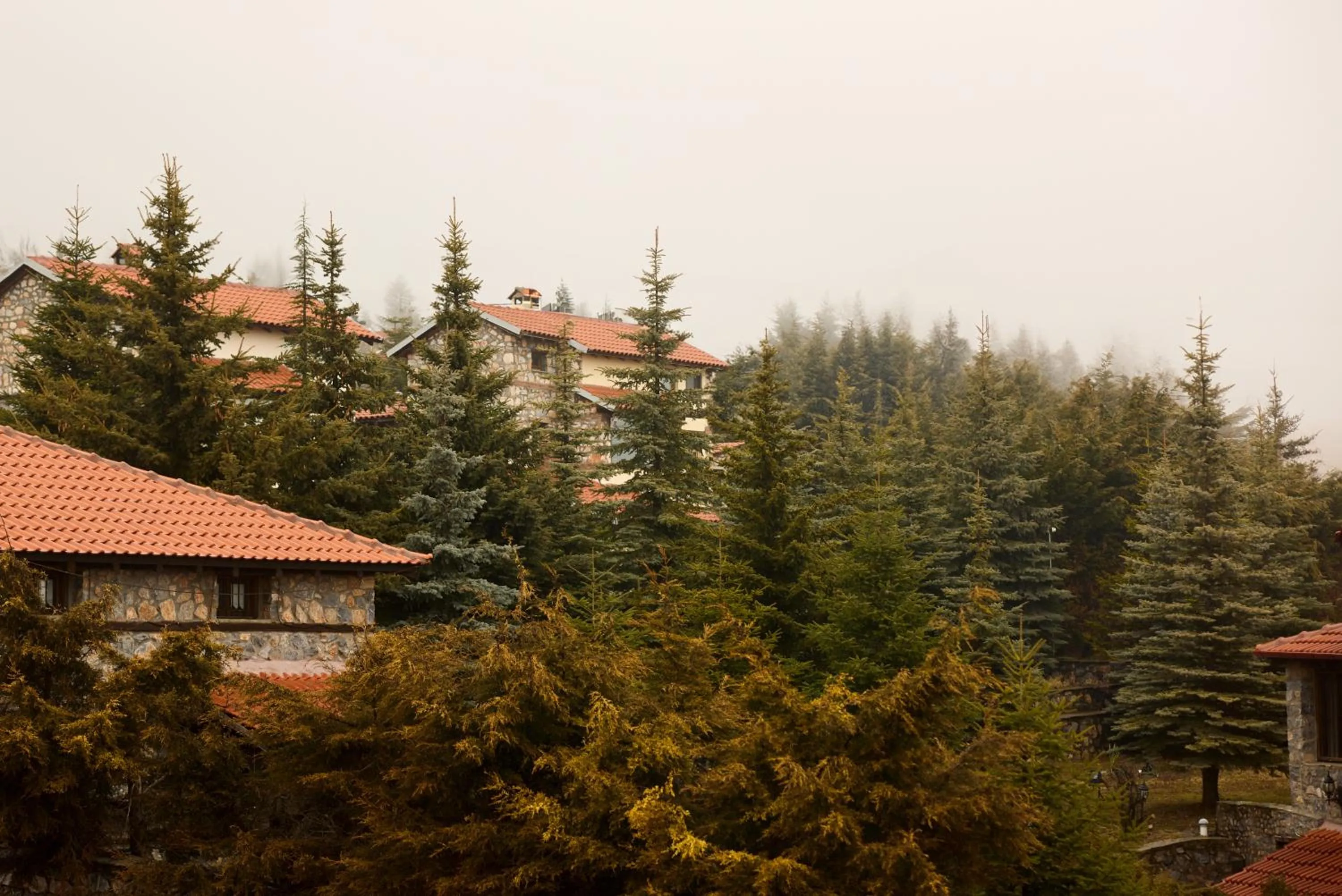 Property building in Domotel Neve Mountain Resort