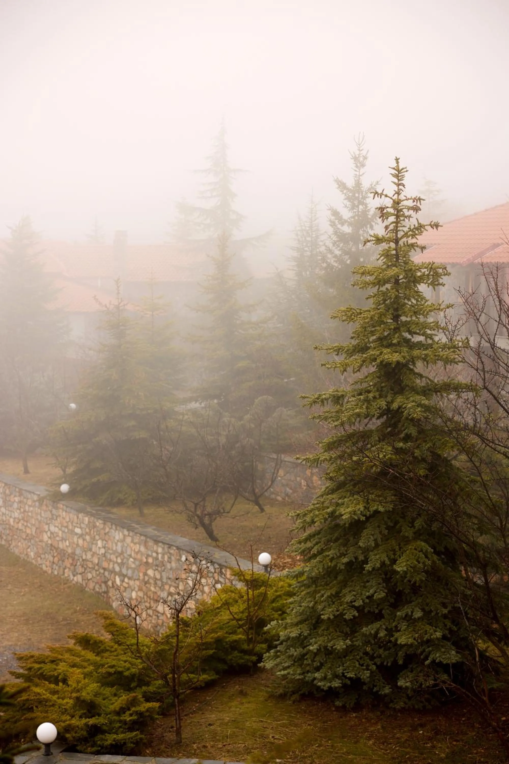 Mountain view in Domotel Neve Mountain Resort