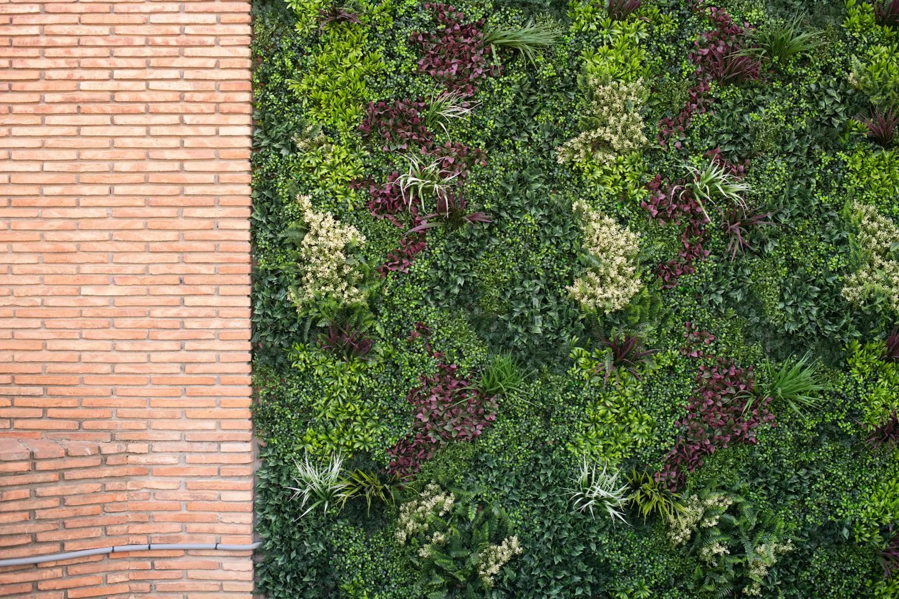 Off site in Hotel Boutique Calas de Alicante