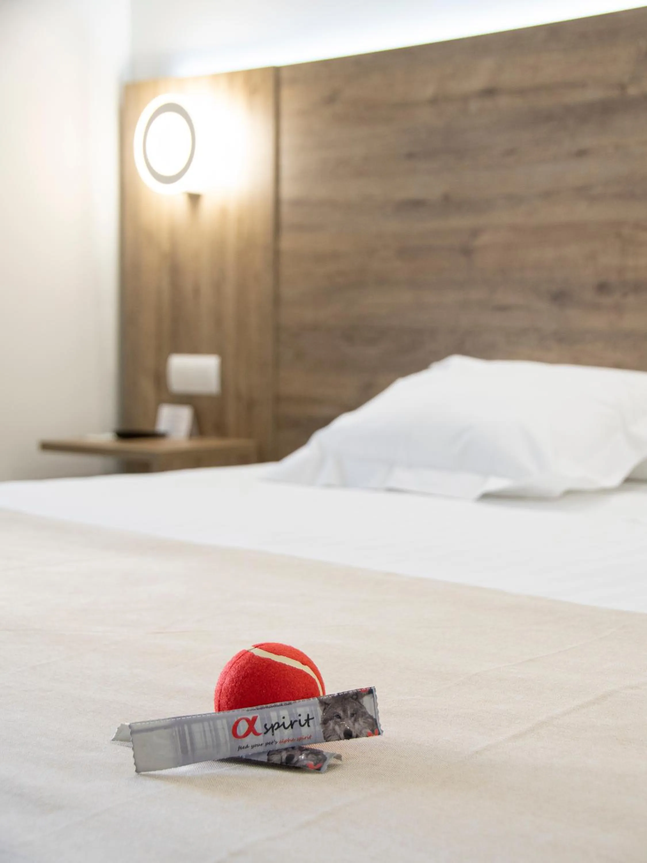 Animals, Bed in Hotel Boutique Calas de Alicante