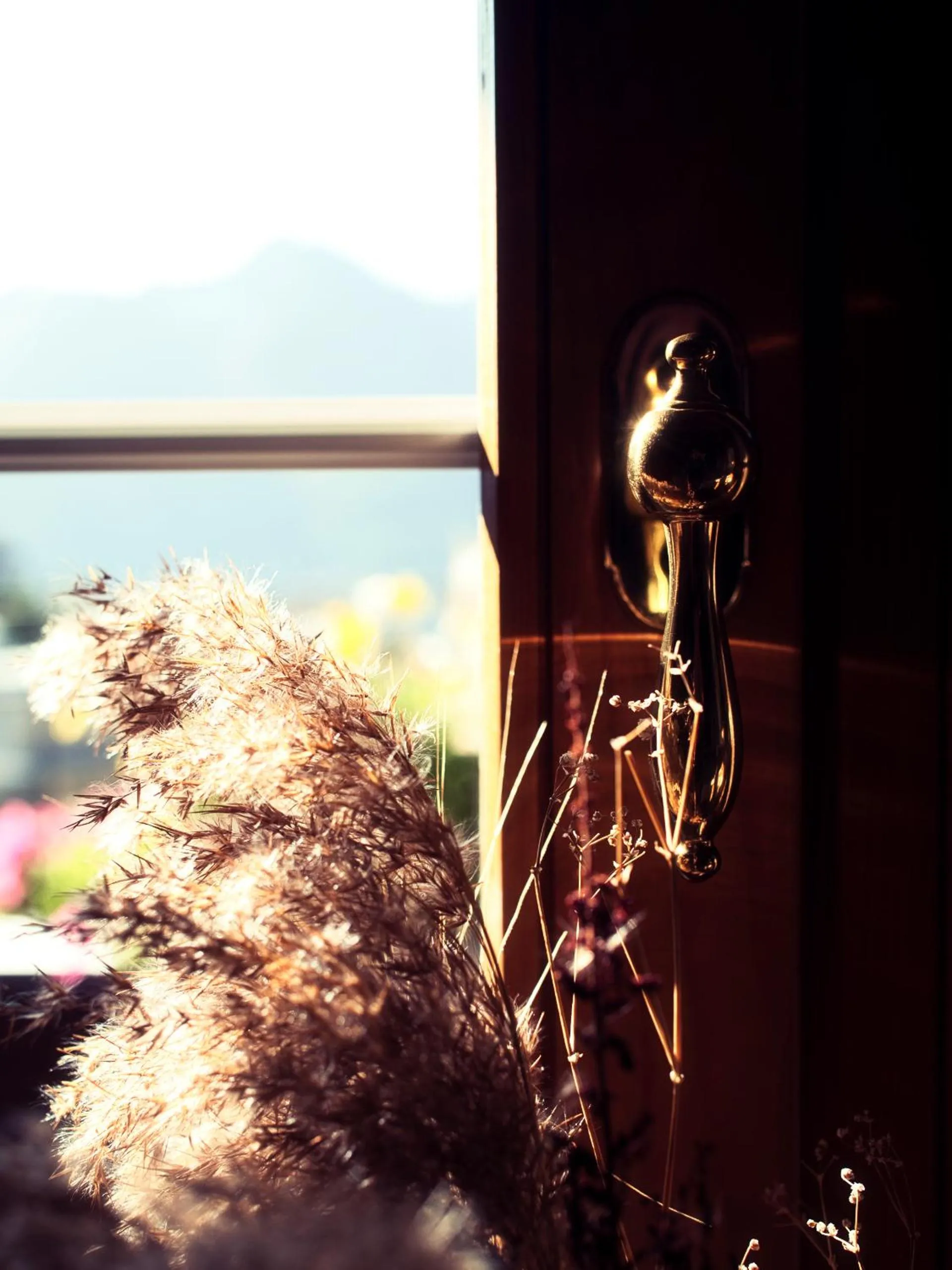 Day in Boutique Hotel La Cabane