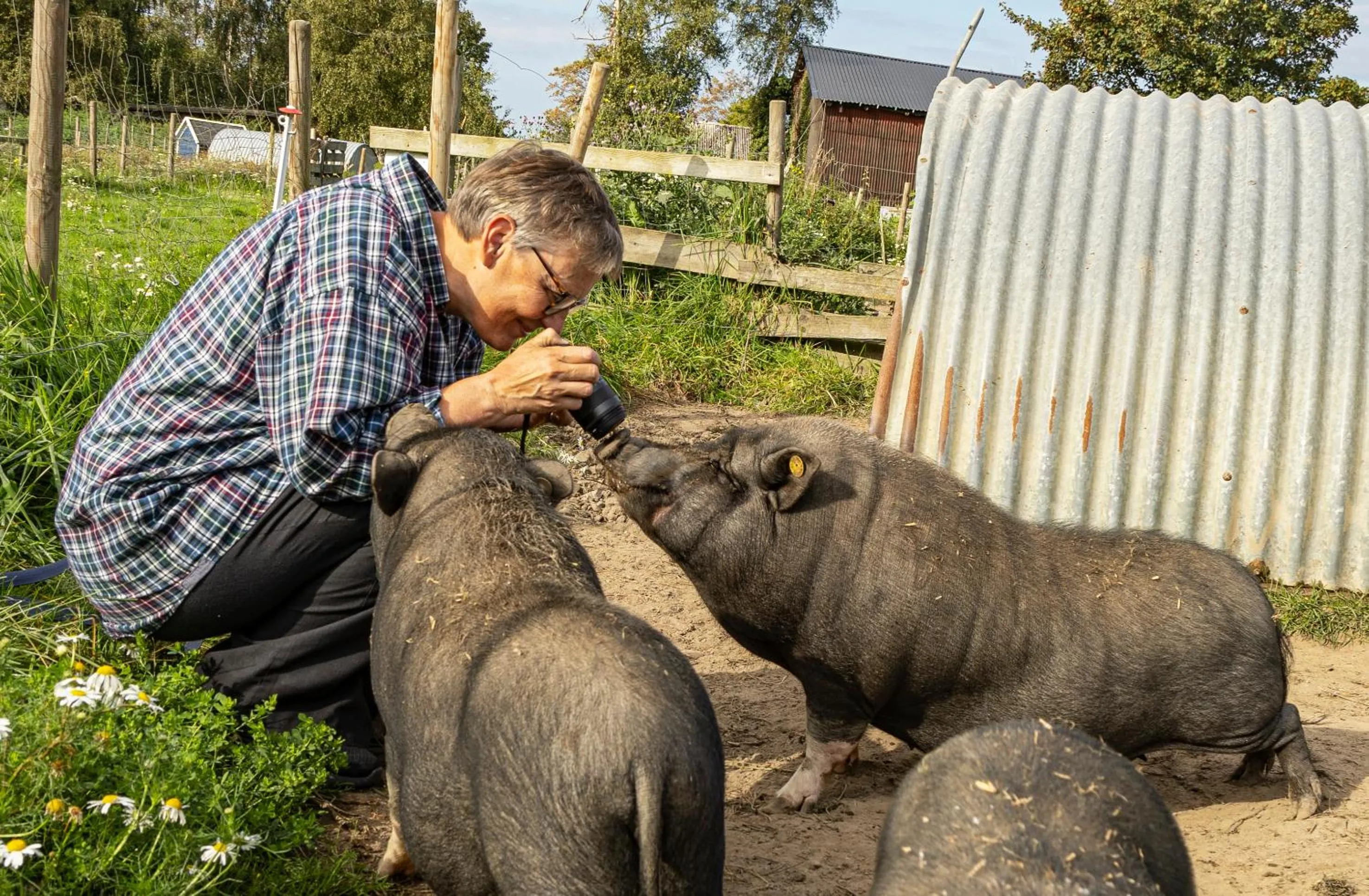 People in Skortskær Bondegårdsferie