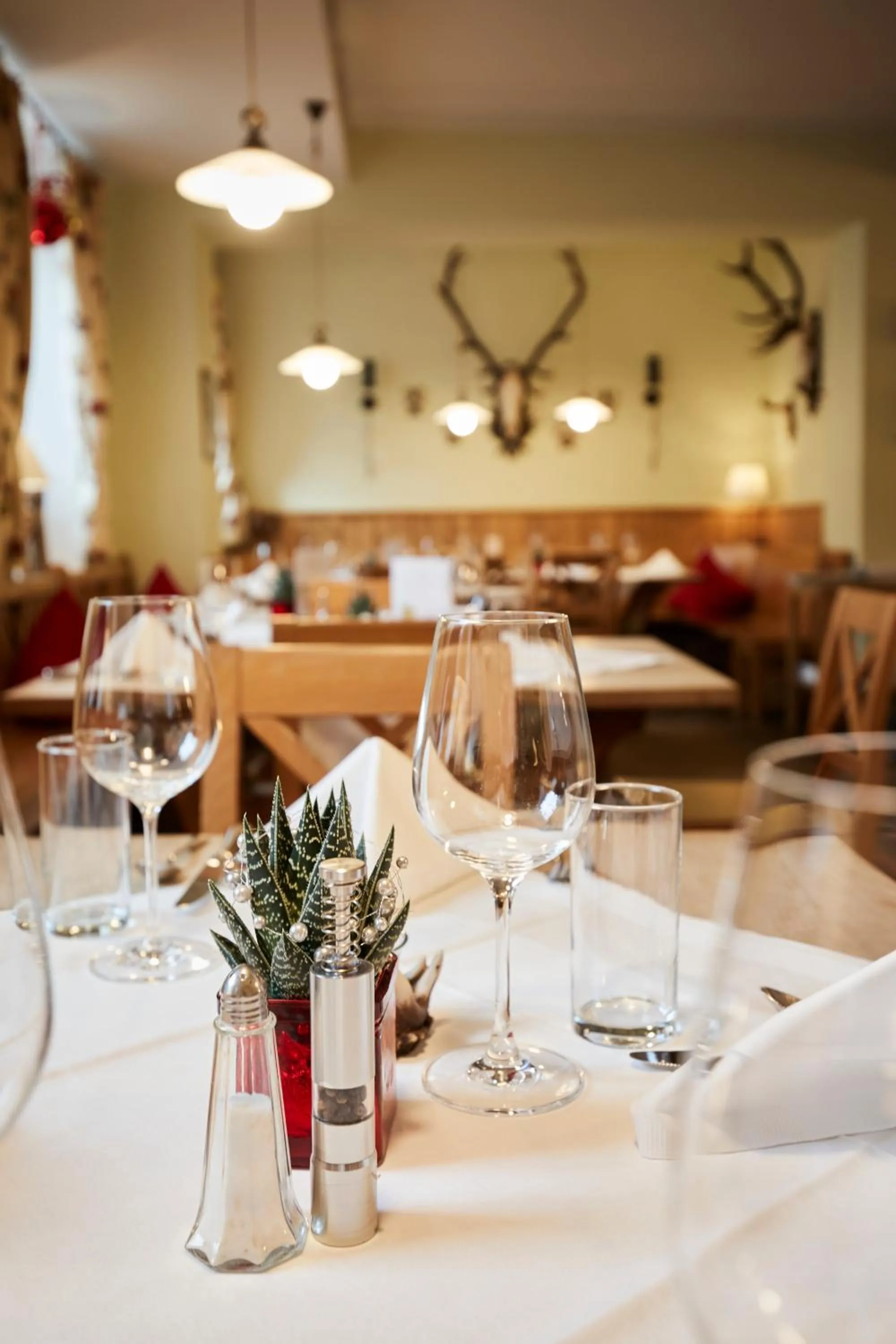 Restaurant/places to eat in Hotel & Restaurant Stern