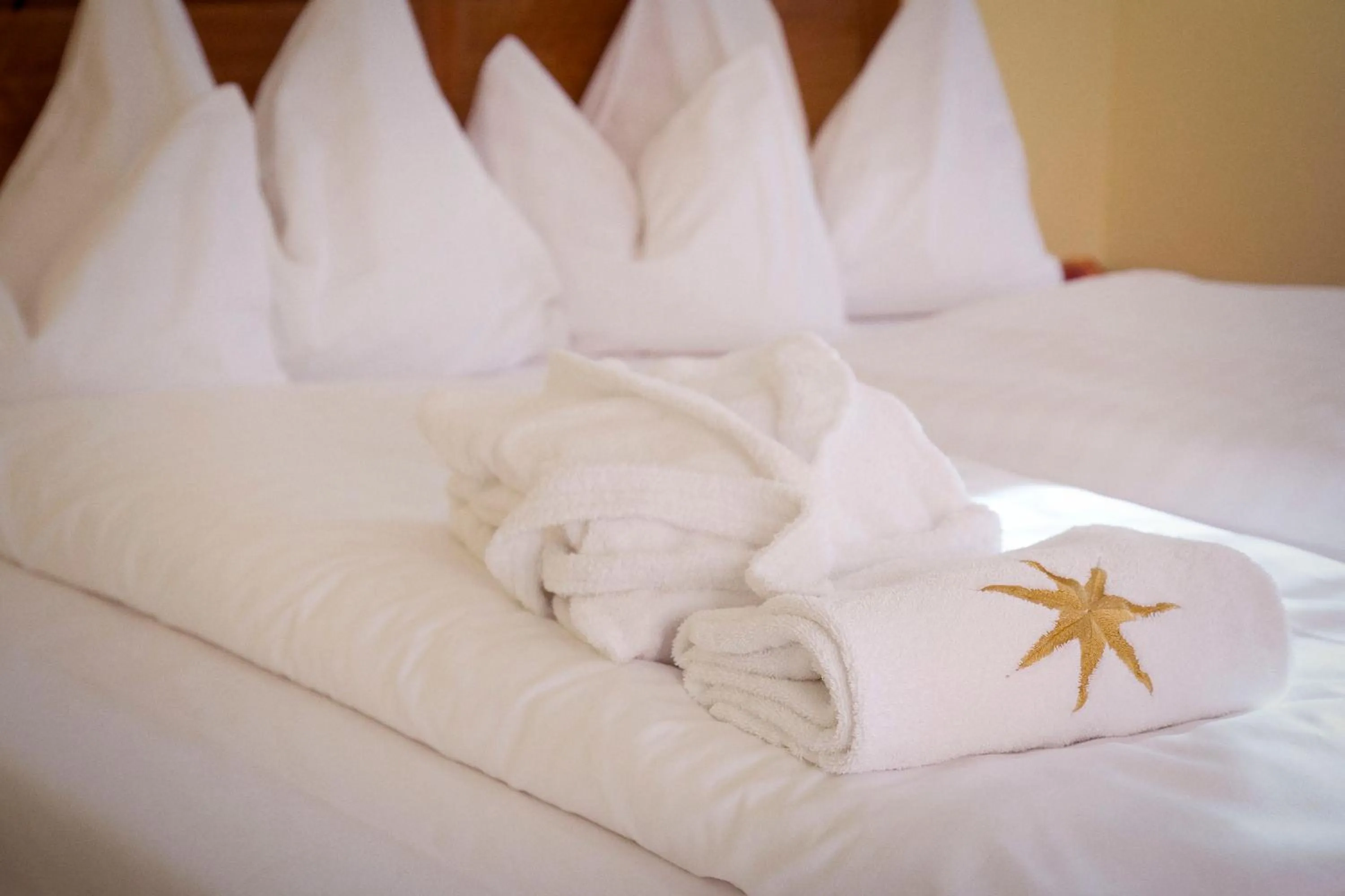 Bed in Hotel & Restaurant Stern