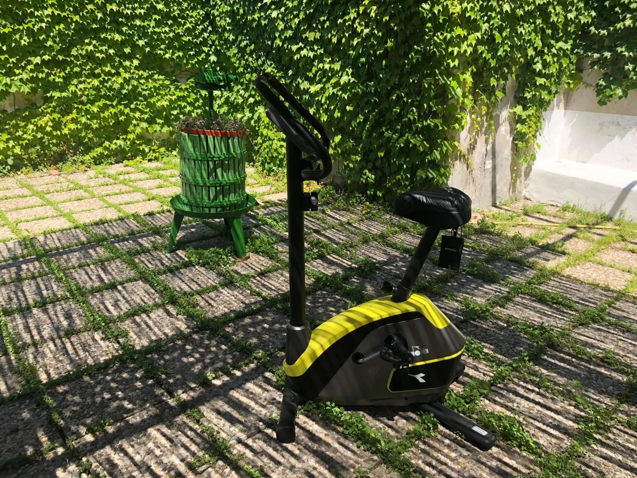 Solarium in Aquarius Maiori B&B