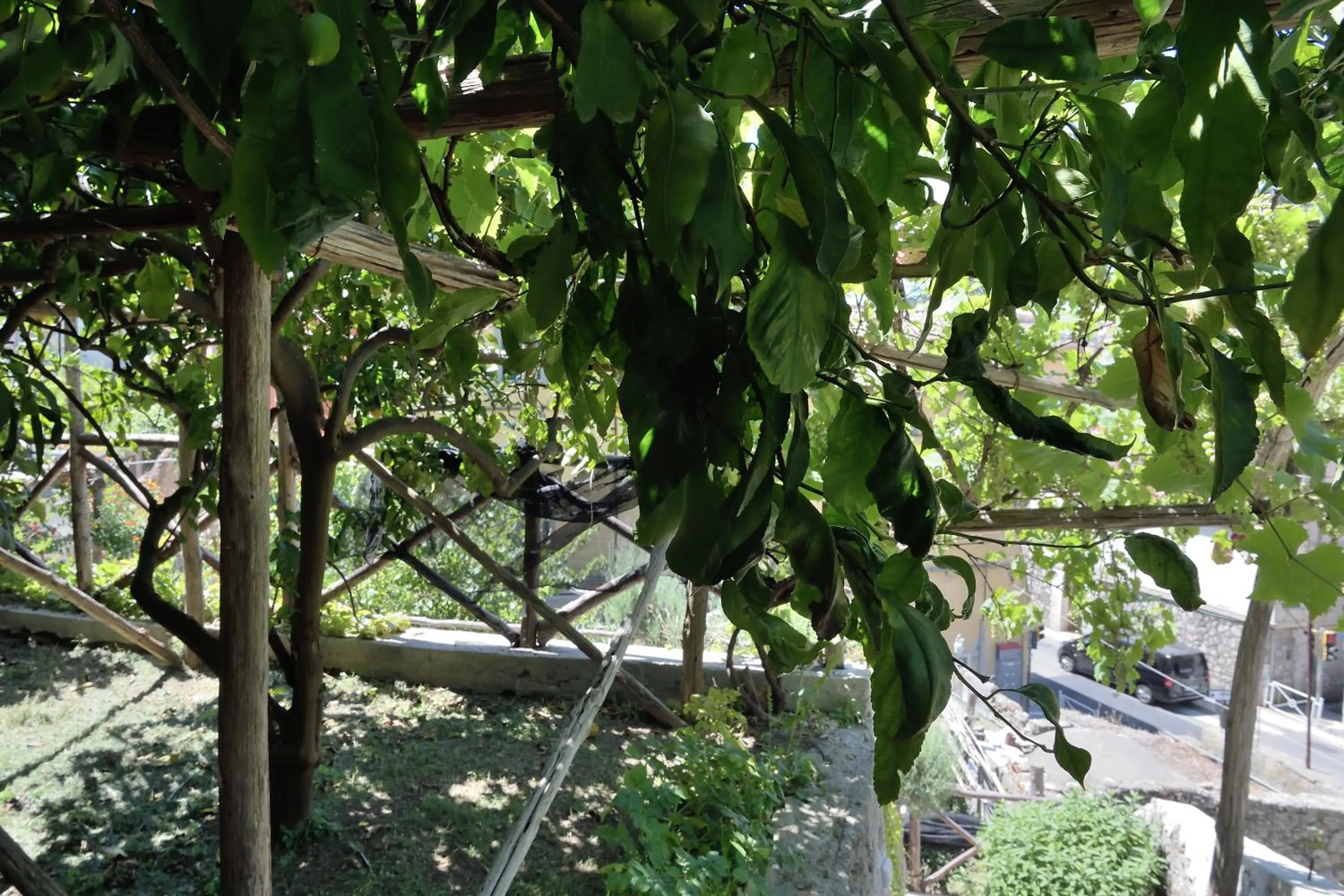 Garden in Aquarius Maiori B&B