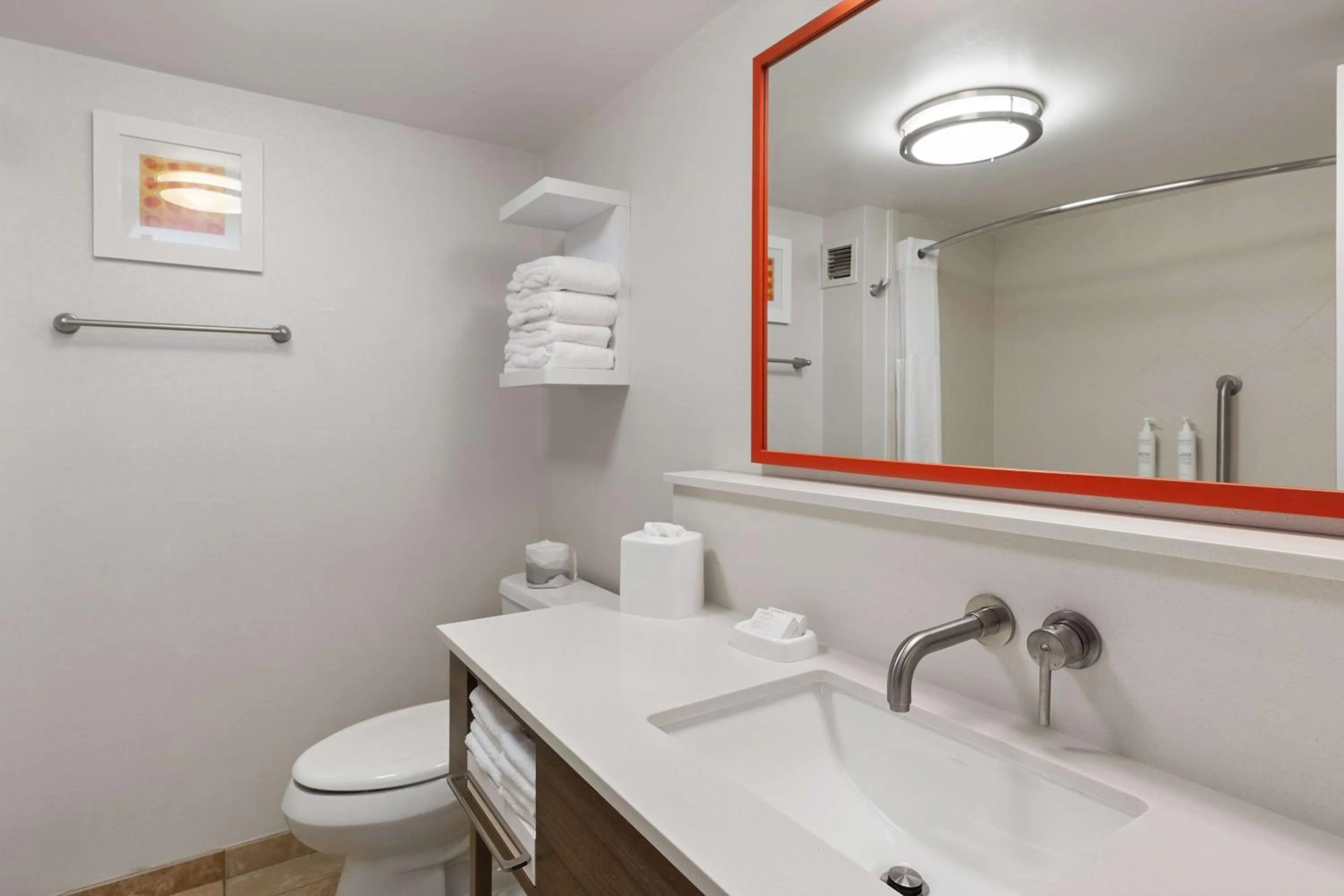 Bathroom in Hampton Inn Rock Hill