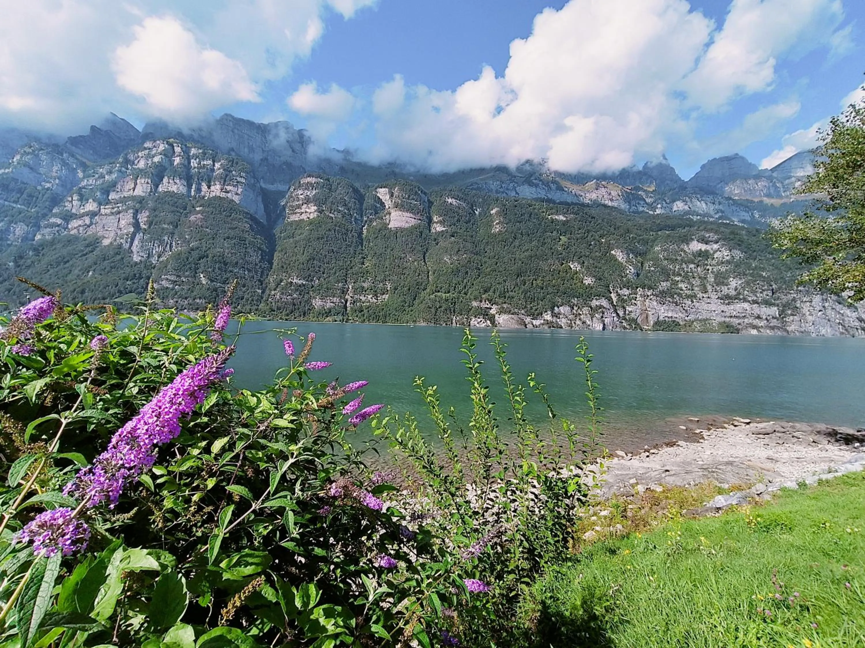 Natural landscape in Marina Walensee Hotel